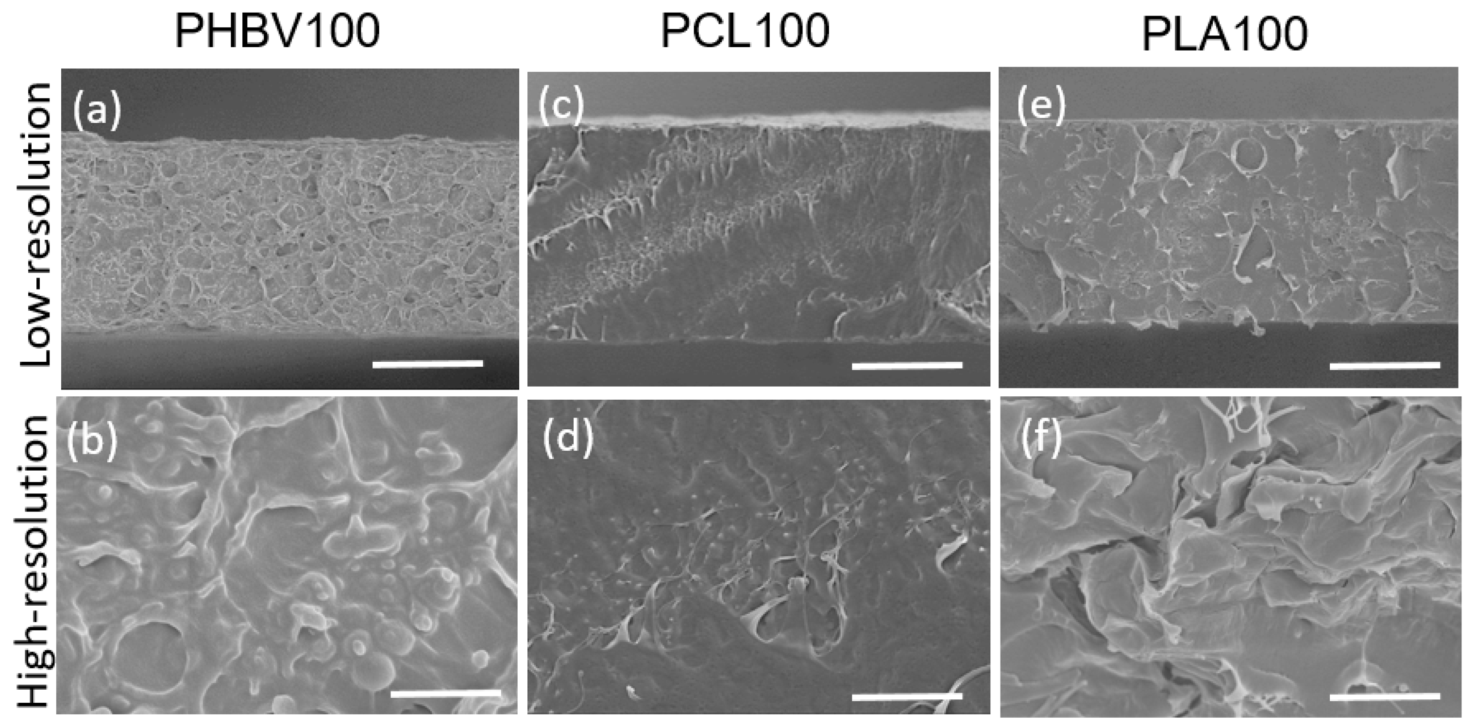 Polymers 15 04566 g001