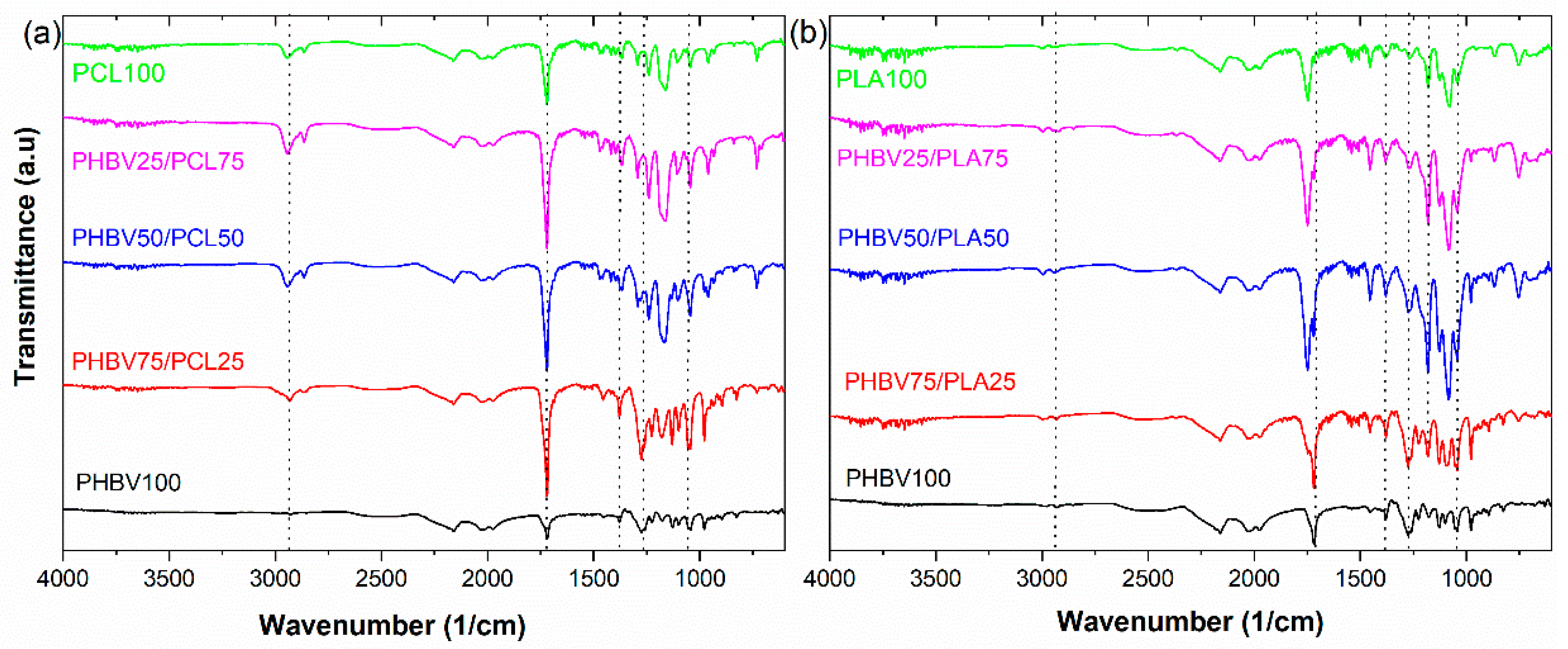 Polymers 15 04566 g004