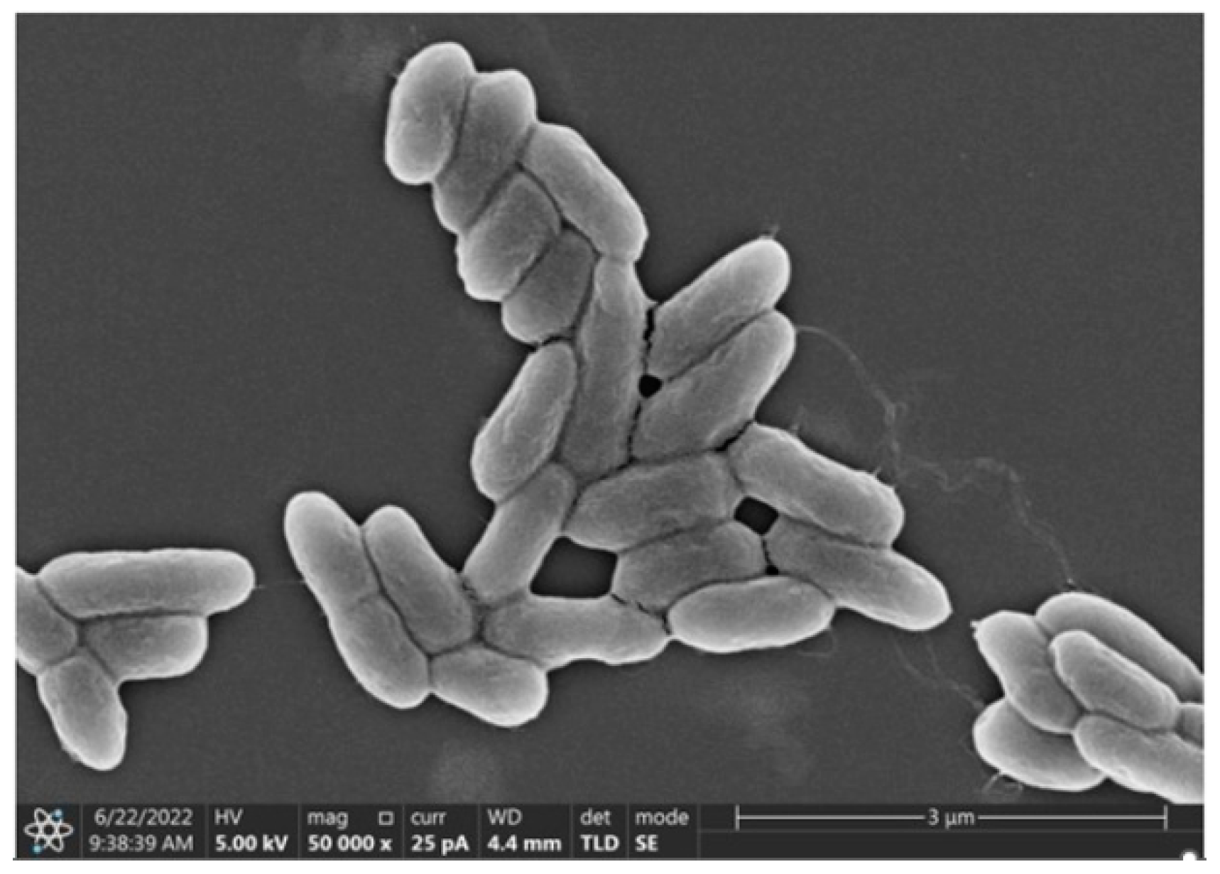 Polymers 15 04571 g001