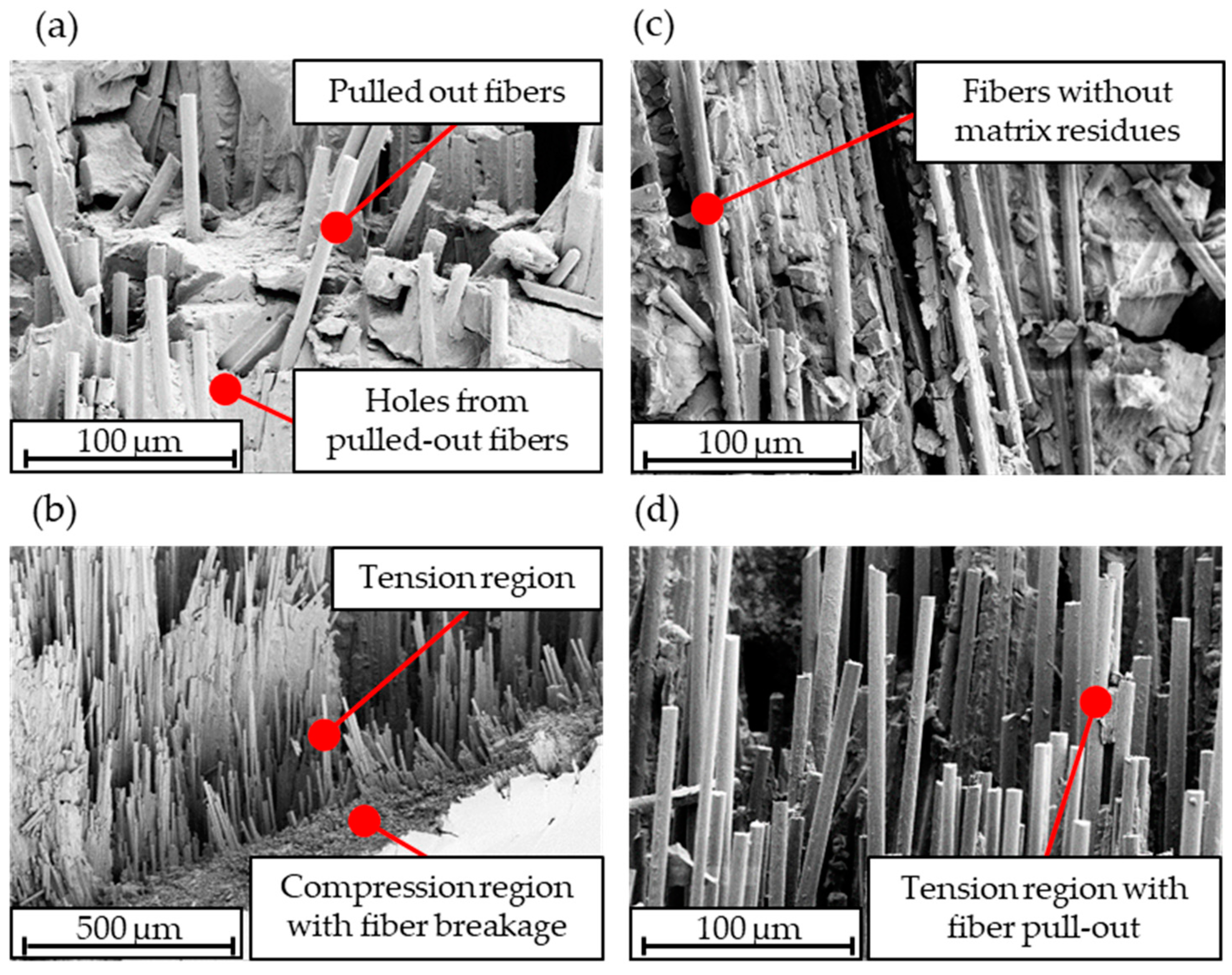 Polymers 15 04575 g016