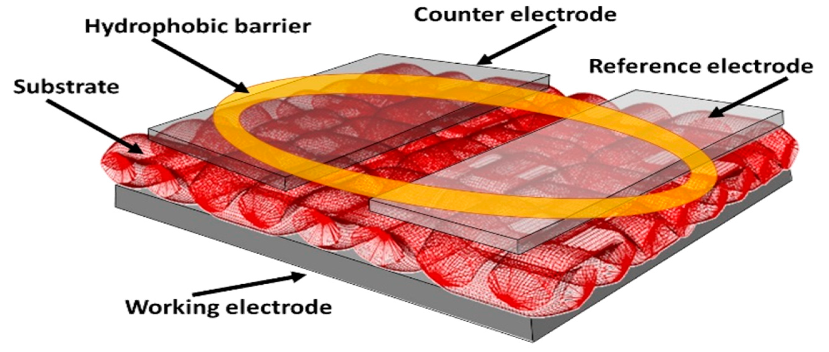 Polymers 15 04579 g001