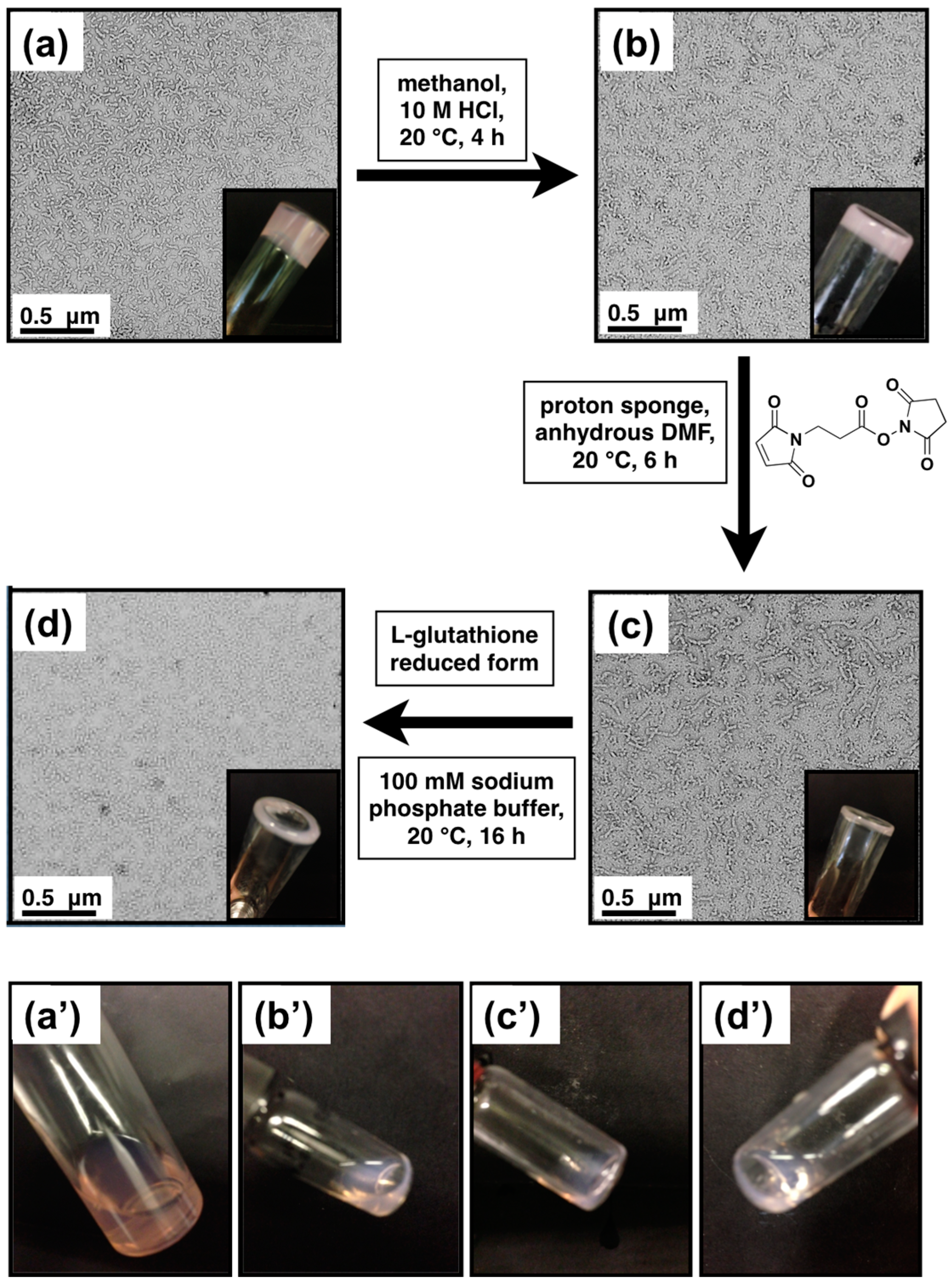 Polymers 15 04590 g004