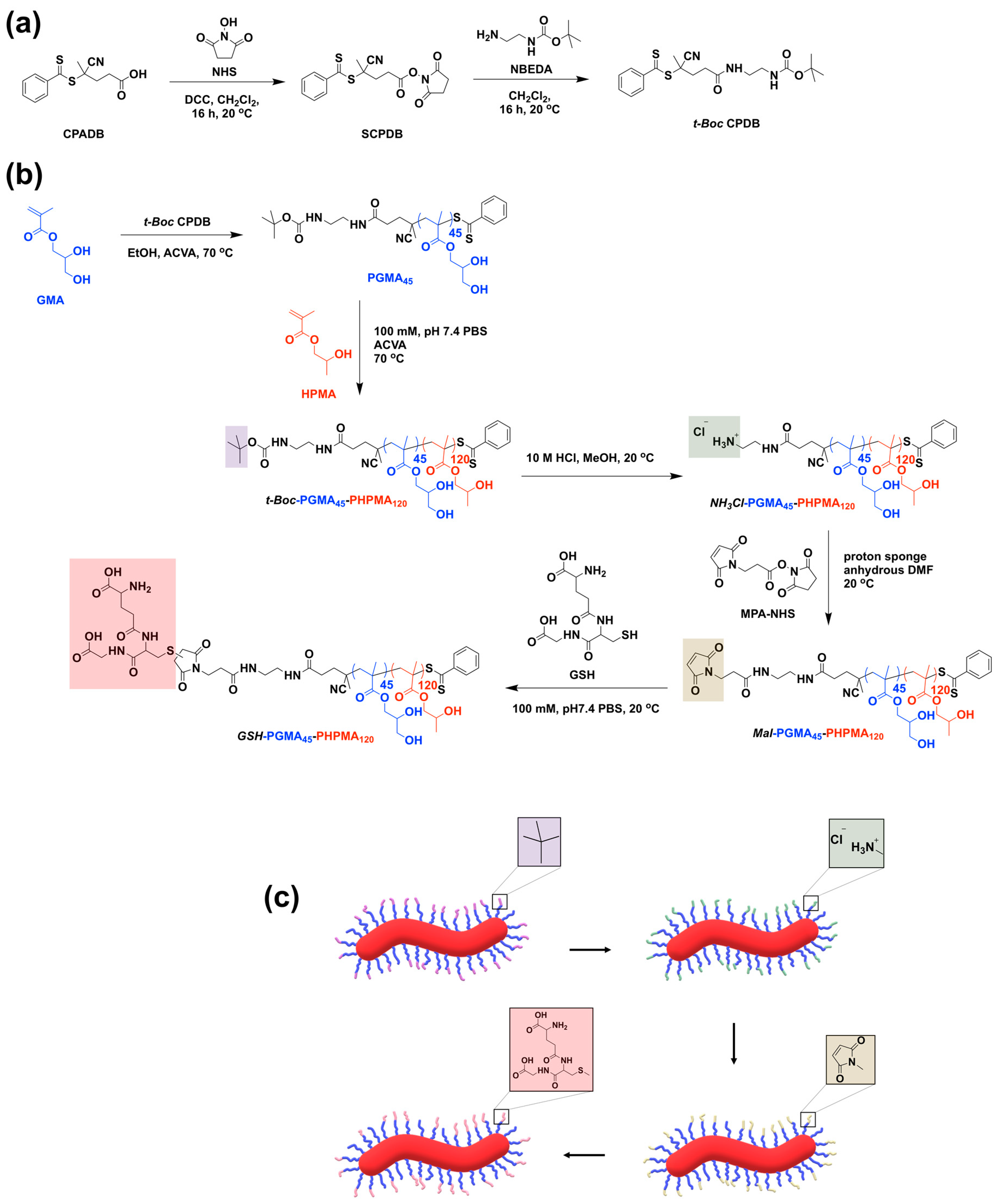 Polymers 15 04590 sch001