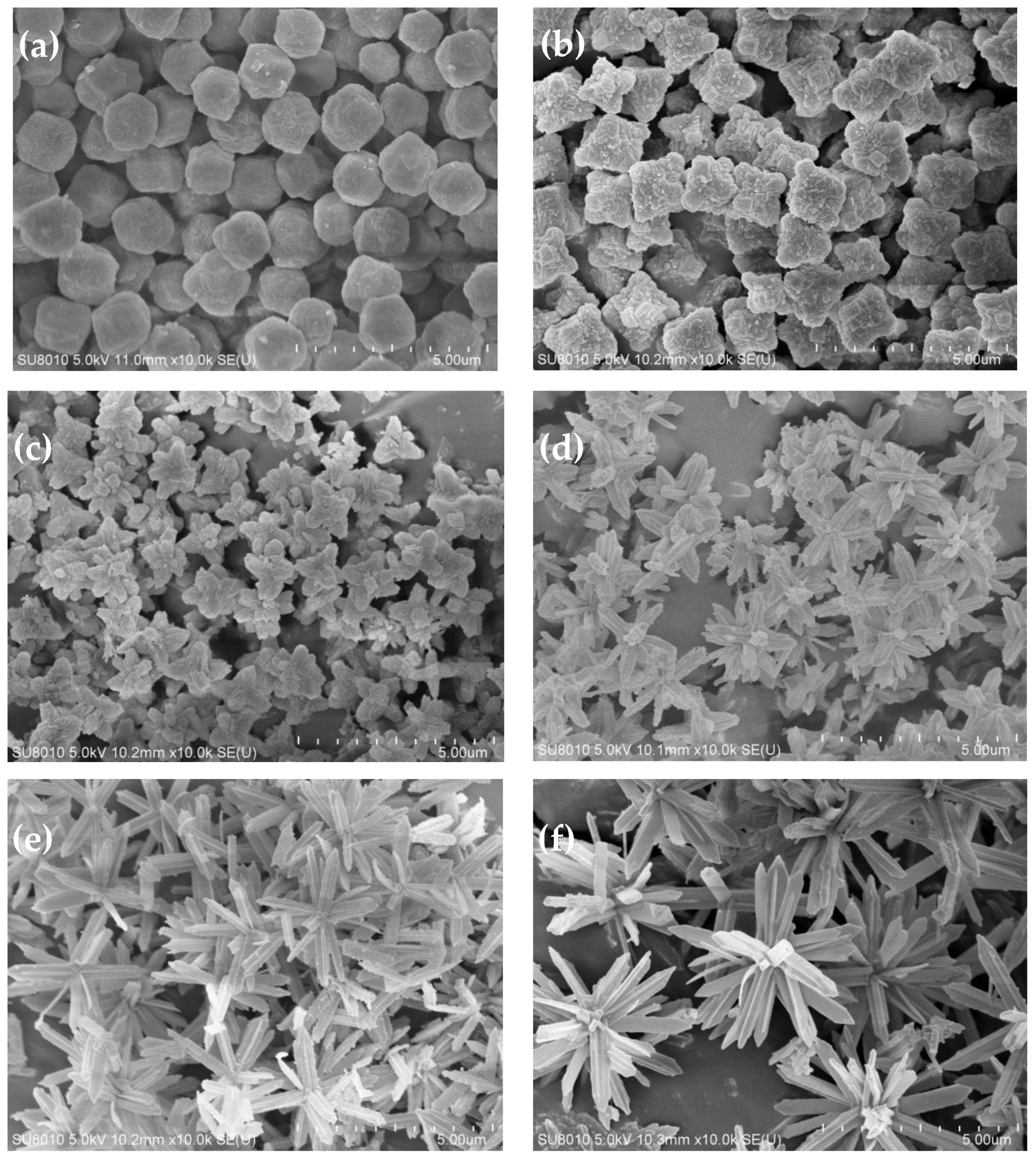 Polymers 15 04600 g003