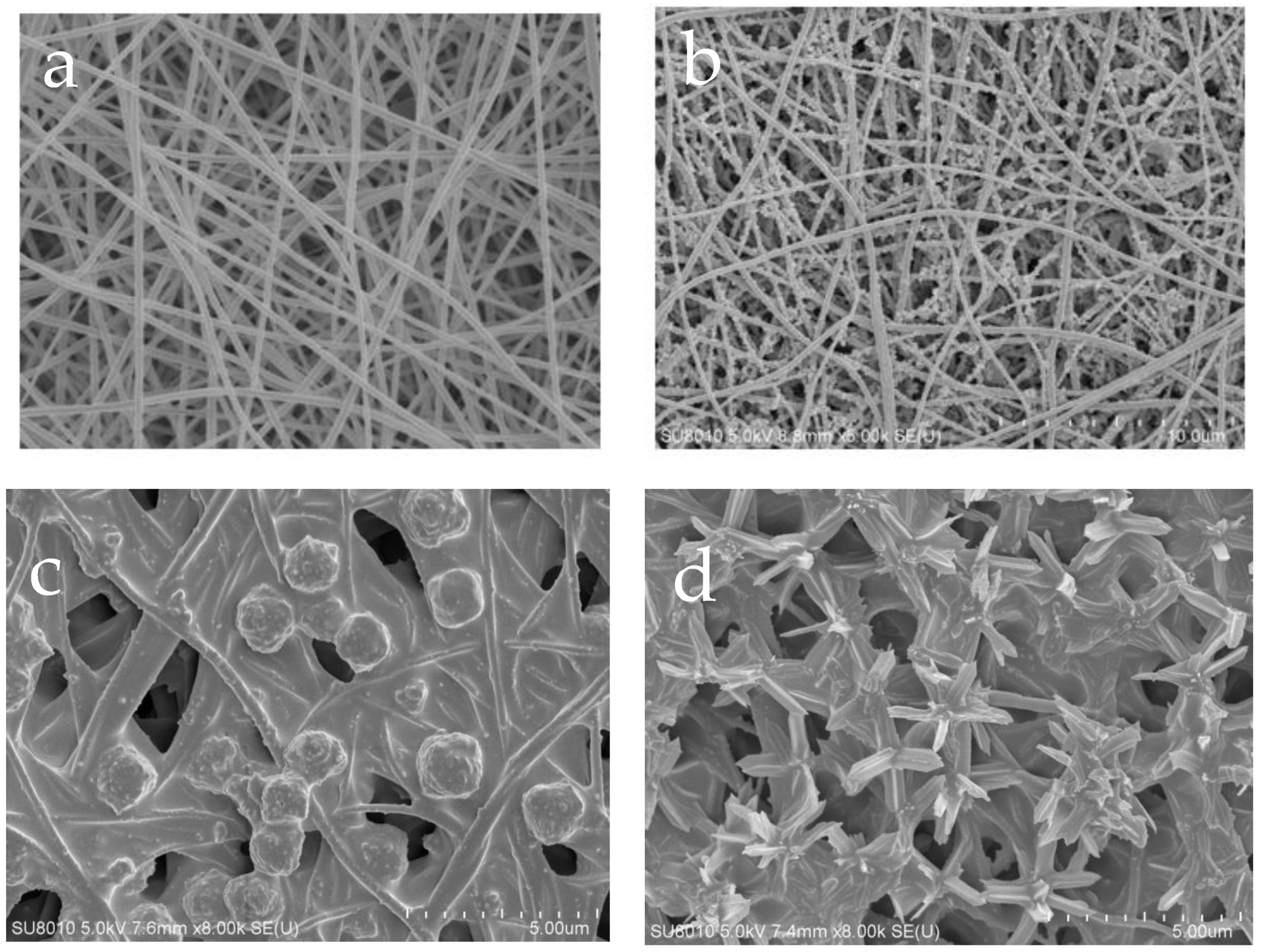 Polymers 15 04600 g006