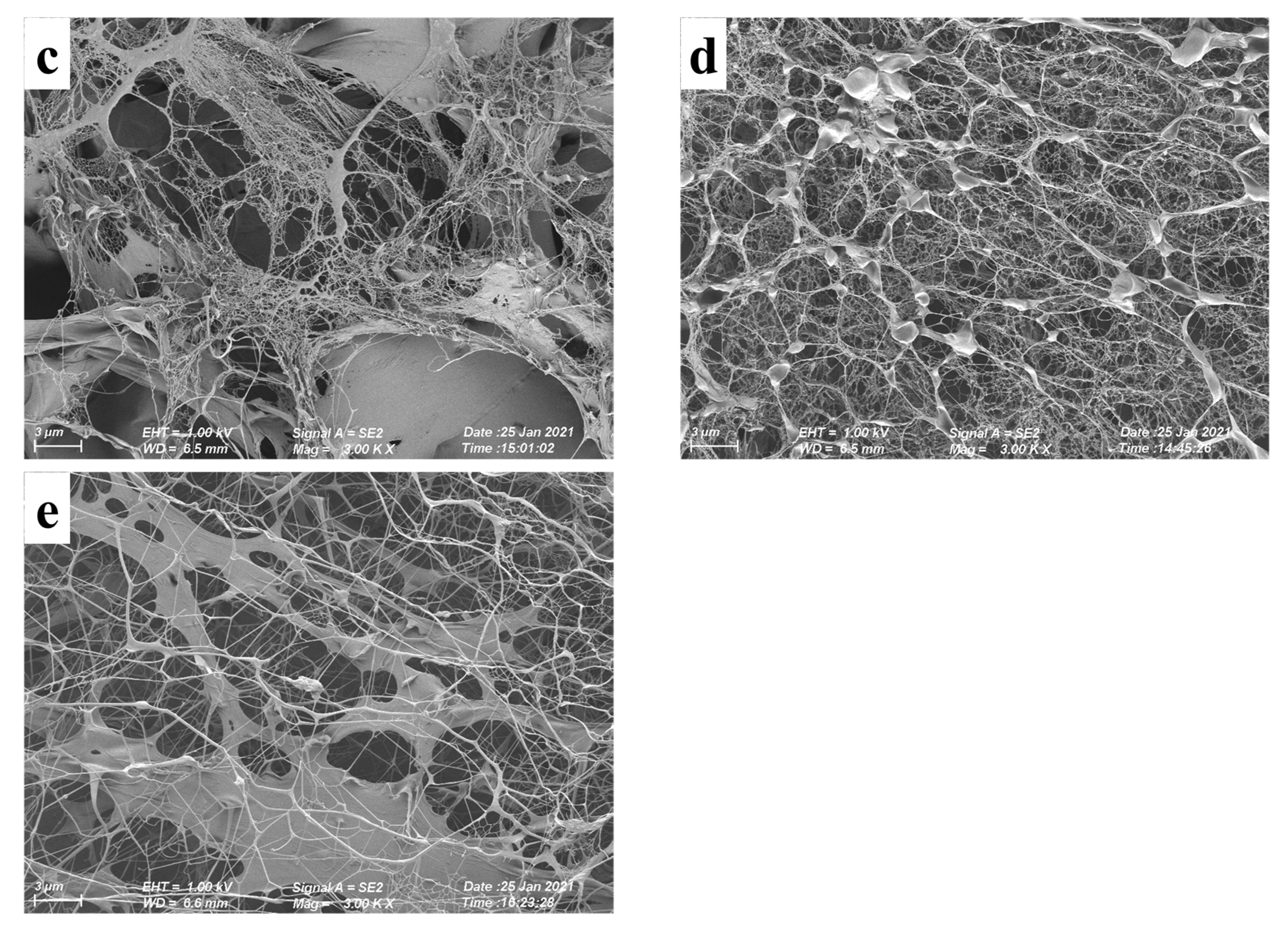 Polymers 15 04604 g006b Polymers 15 04604 g006b
