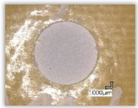 Polymers 15 04609 i001