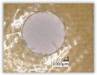 Polymers 15 04609 i003