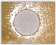 Polymers 15 04609 i011
