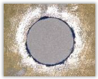 Polymers 15 04609 i023