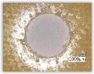 Polymers 15 04609 i036