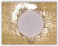 Polymers 15 04609 i058