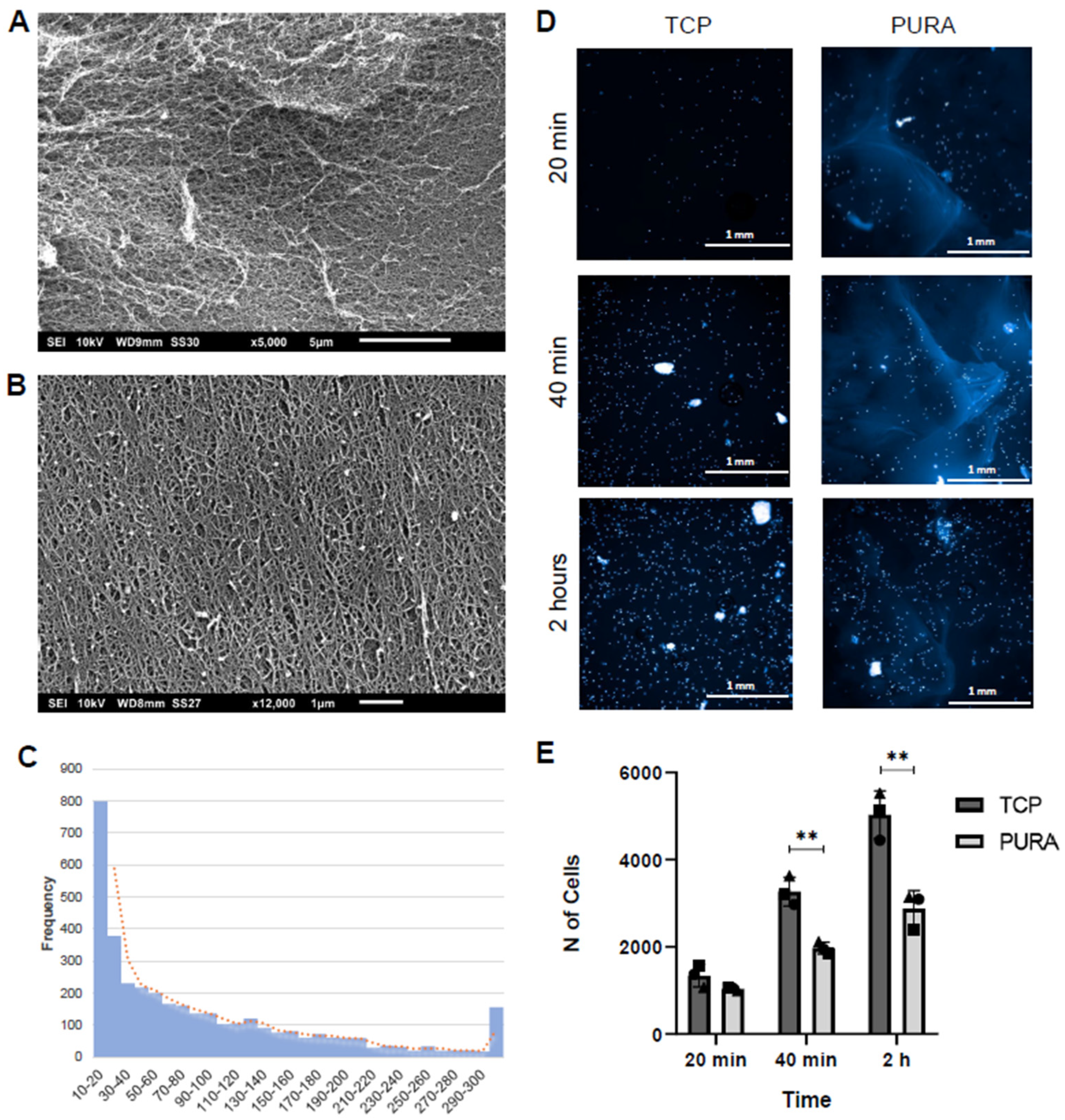 Polymers 15 04630 g003