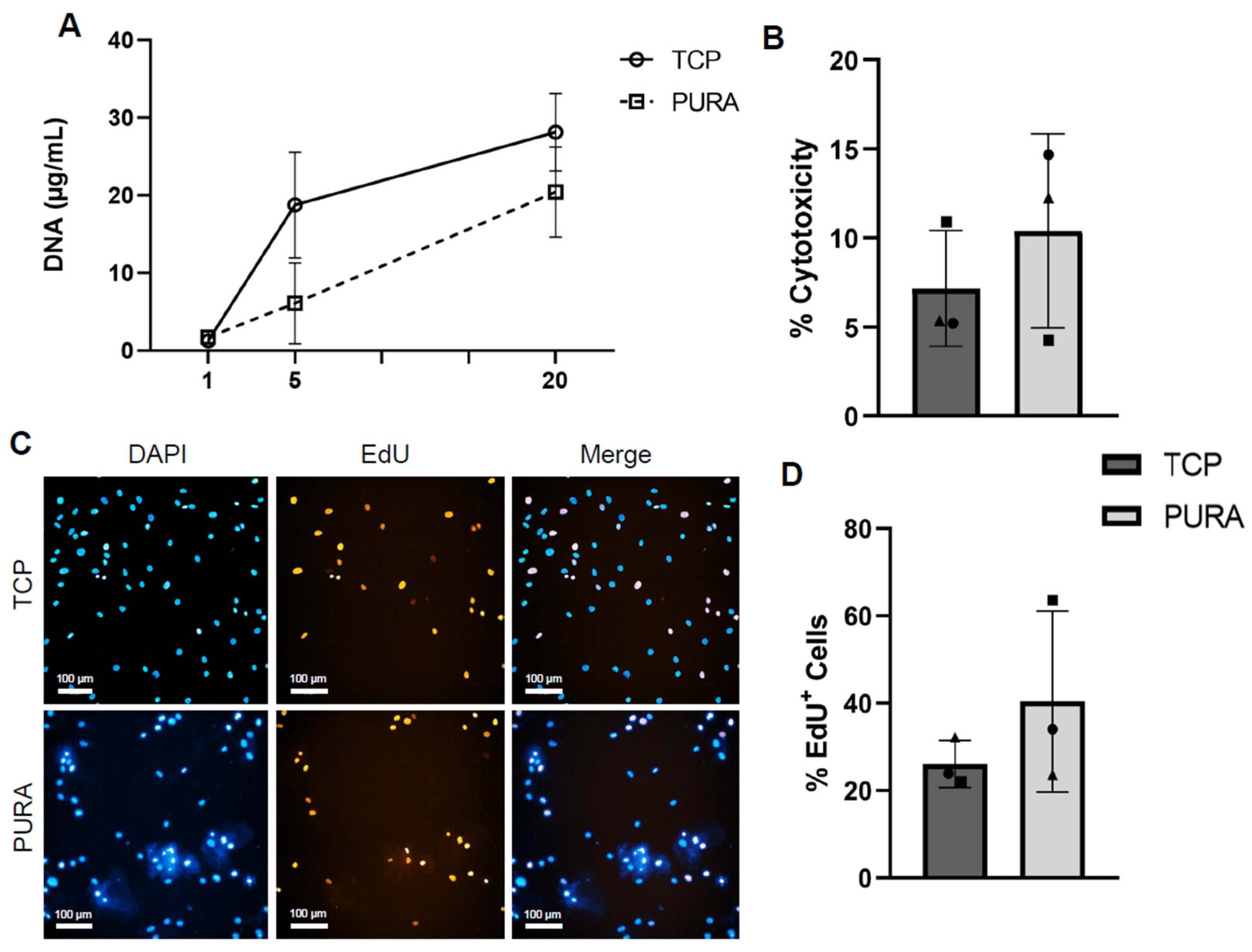 Polymers 15 04630 g004