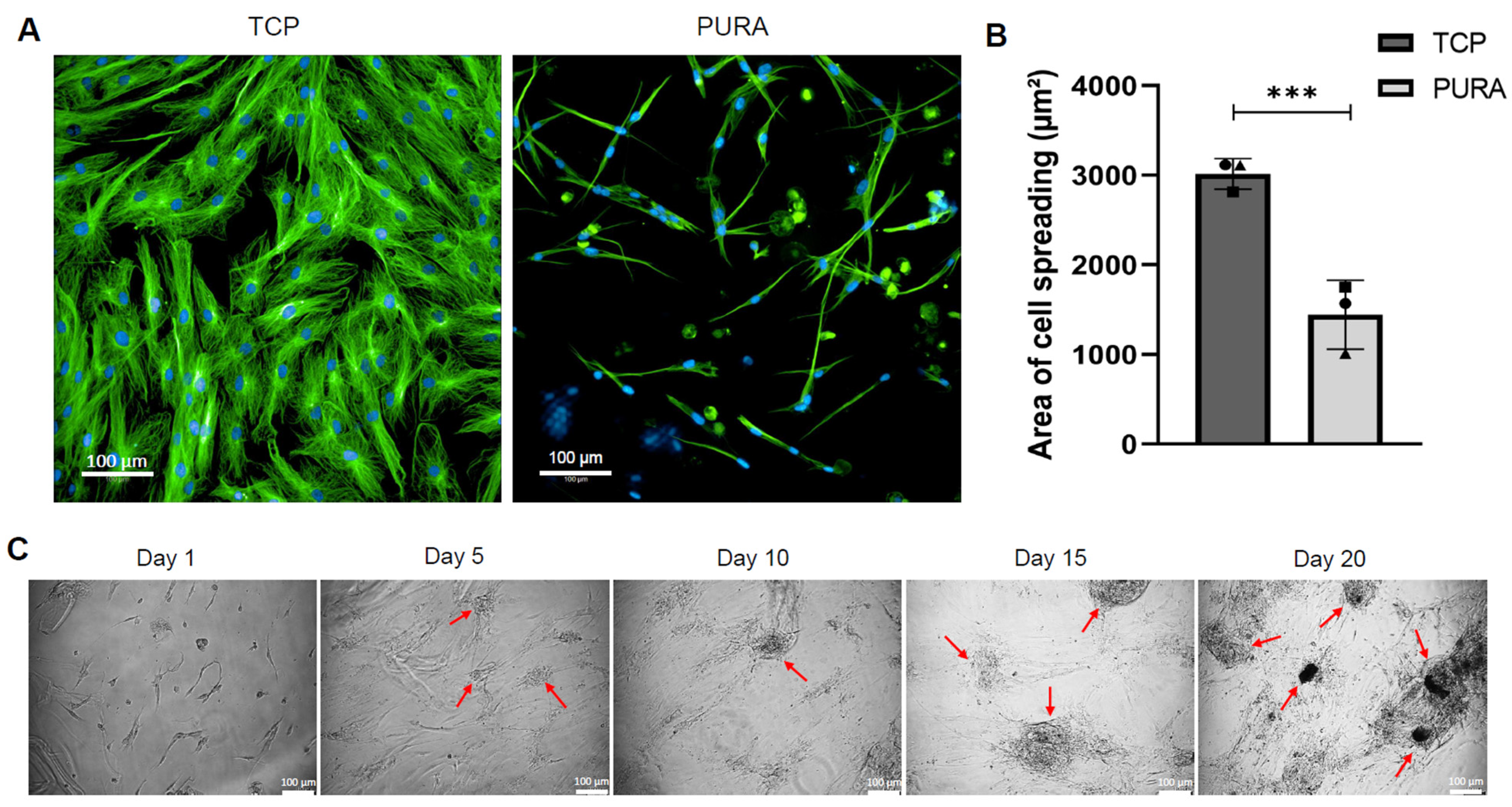 Polymers 15 04630 g005