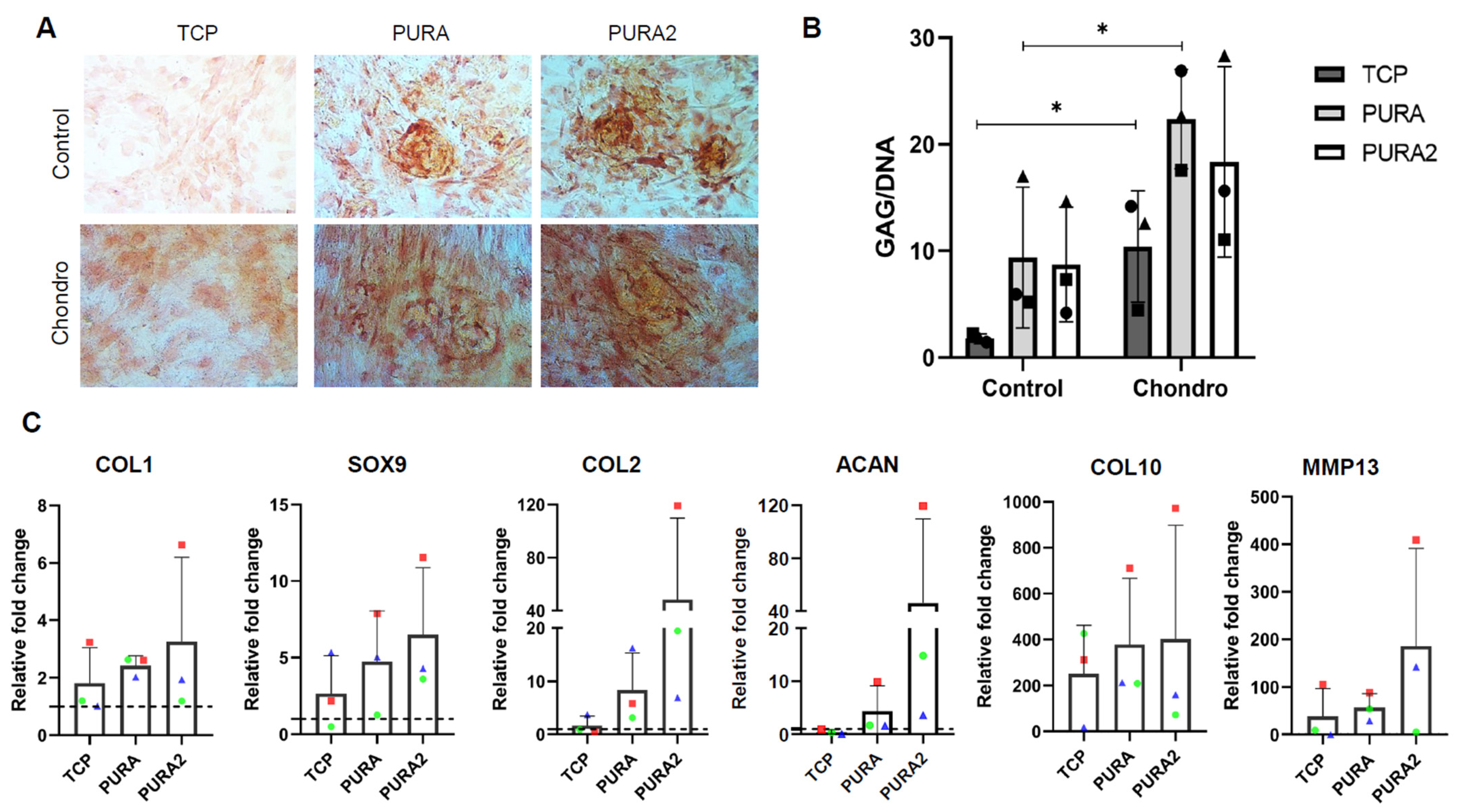 Polymers 15 04630 g007