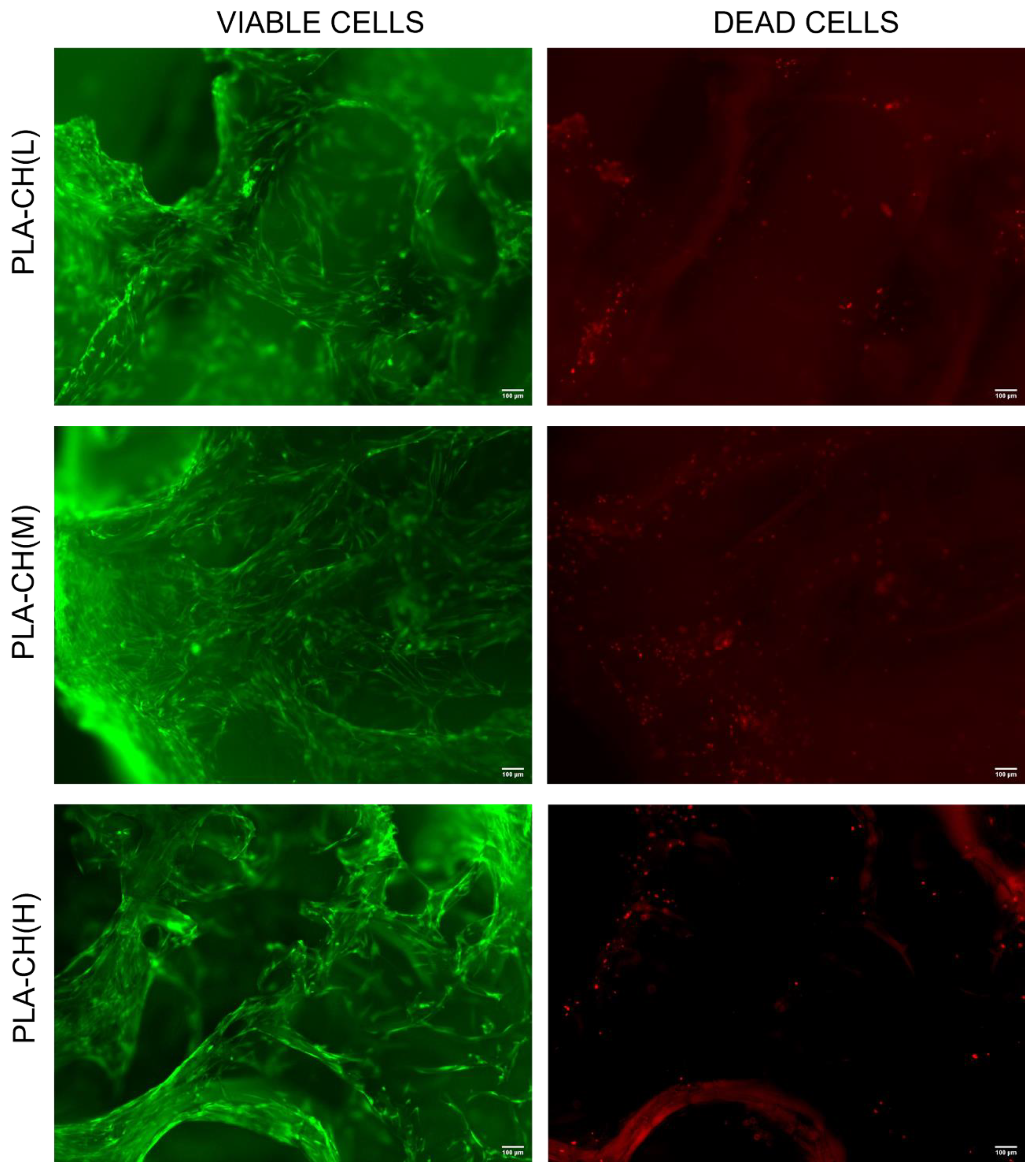 Polymers 15 04631 g008