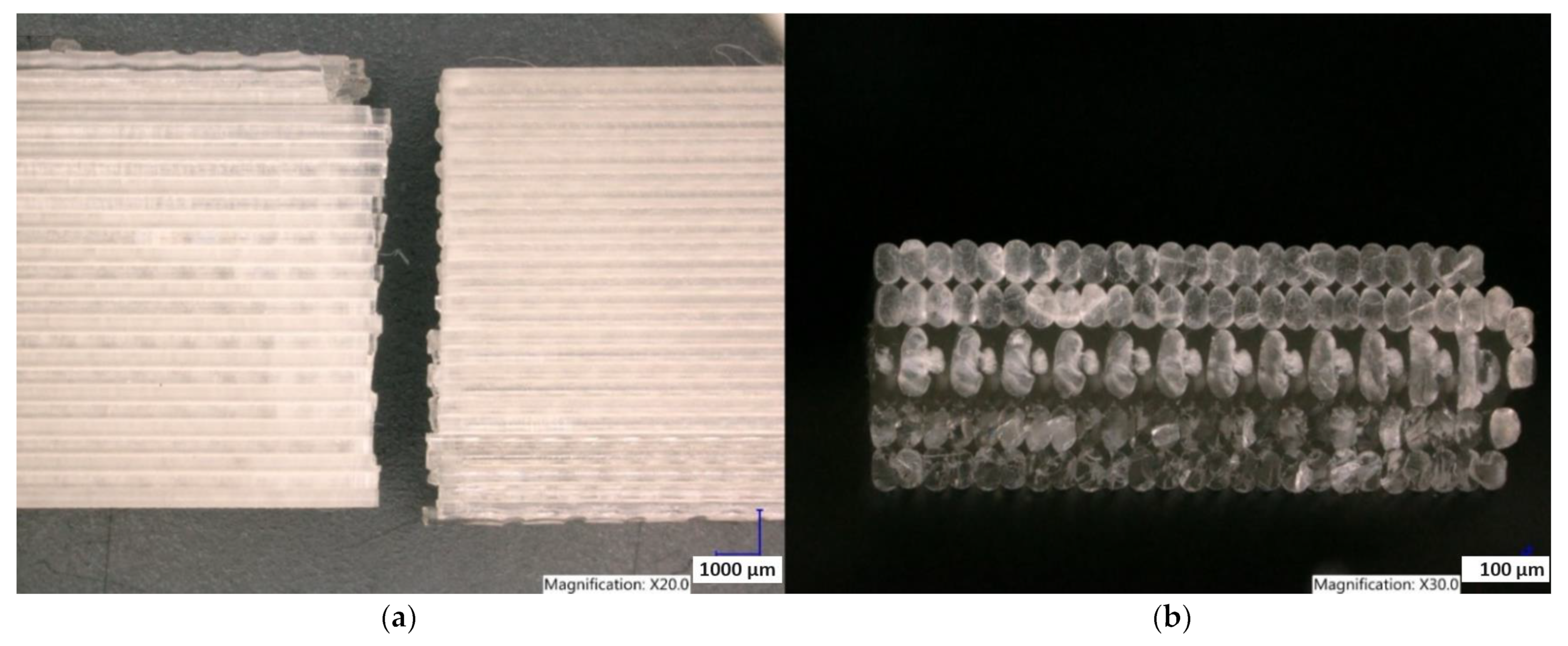 Polymers 15 04639 g019