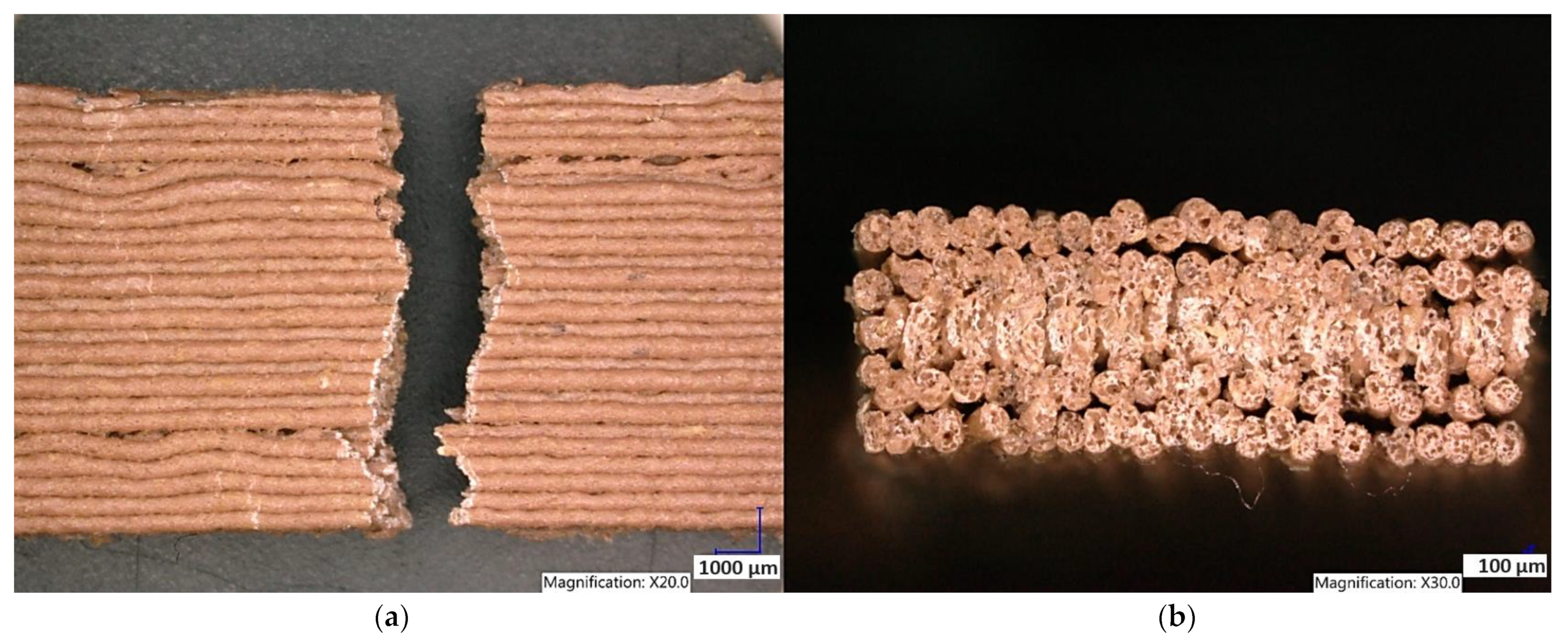 Polymers 15 04639 g022