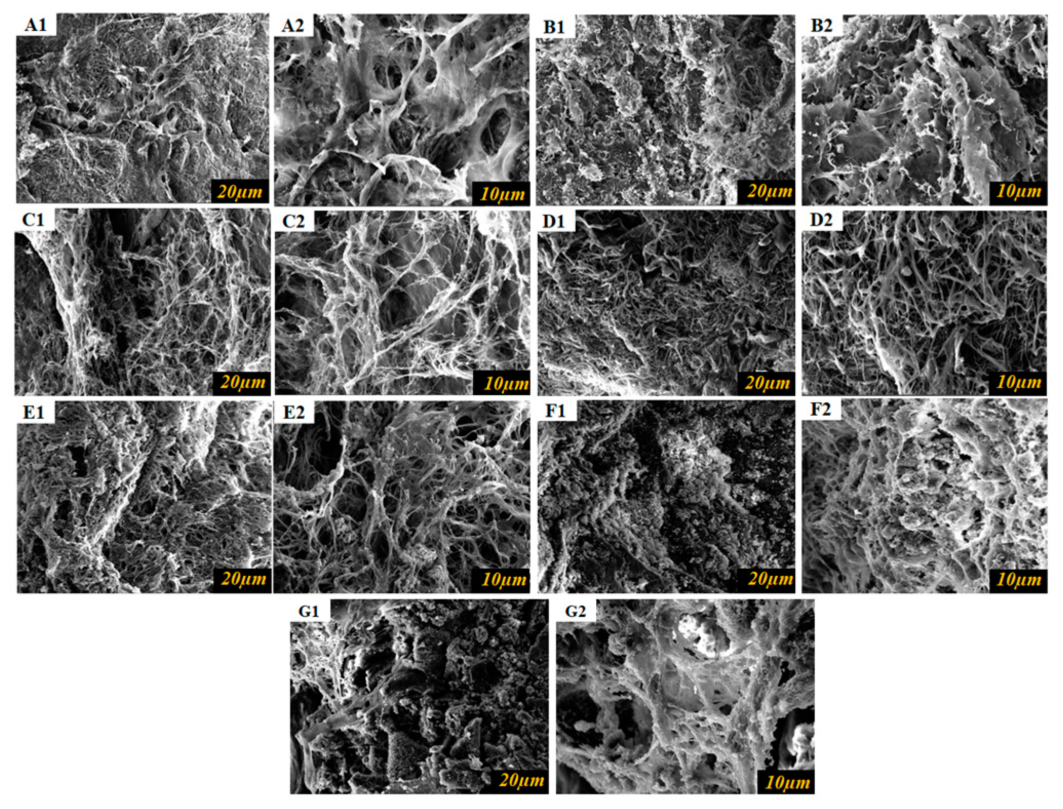 Polymers 15 04647 g008 Polymers 15 04647 g008