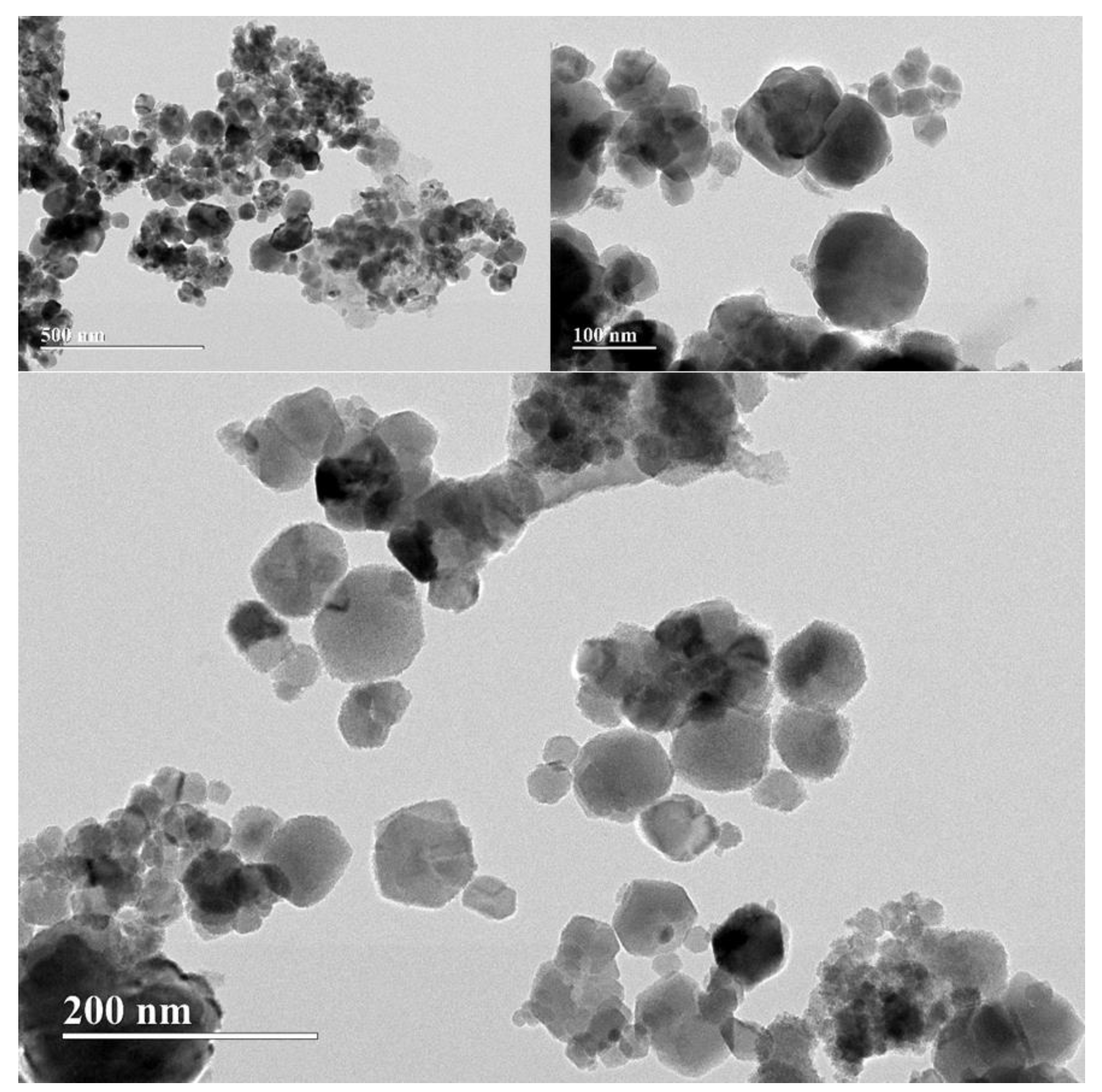 Polymers 15 04662 g014