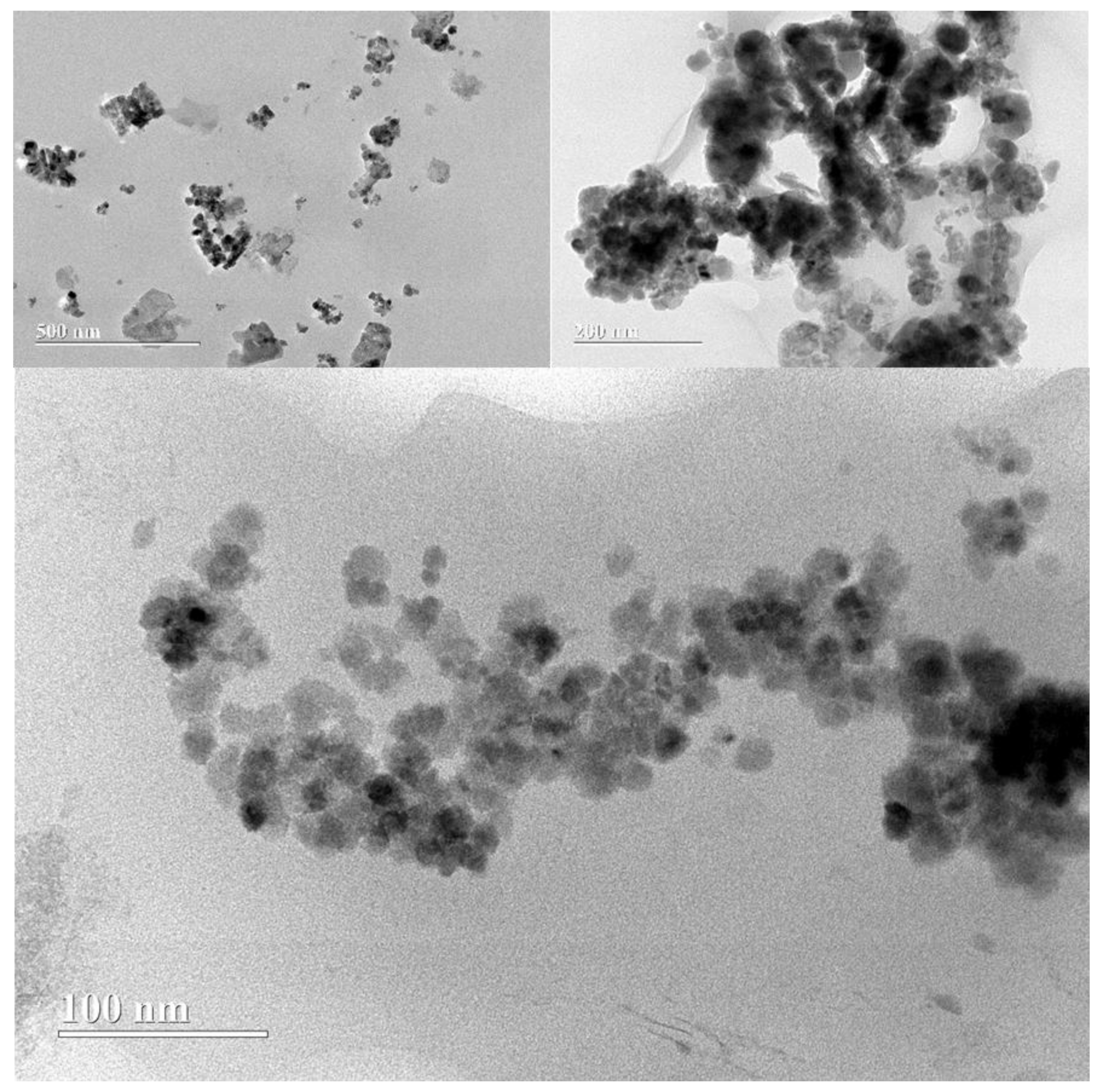 Polymers 15 04662 g015