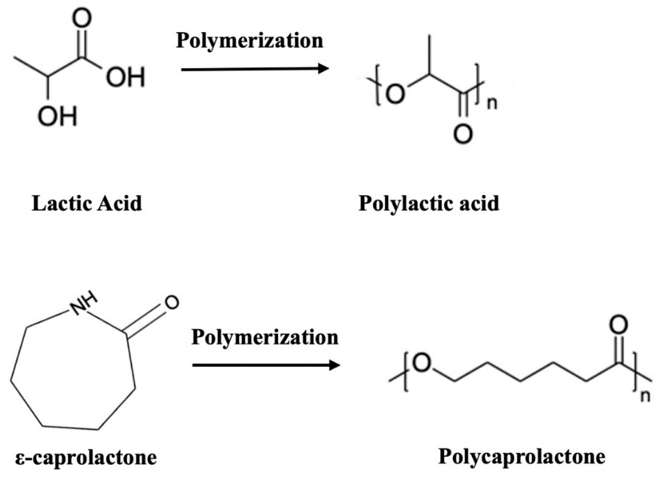 Polymers 15 04667 g001