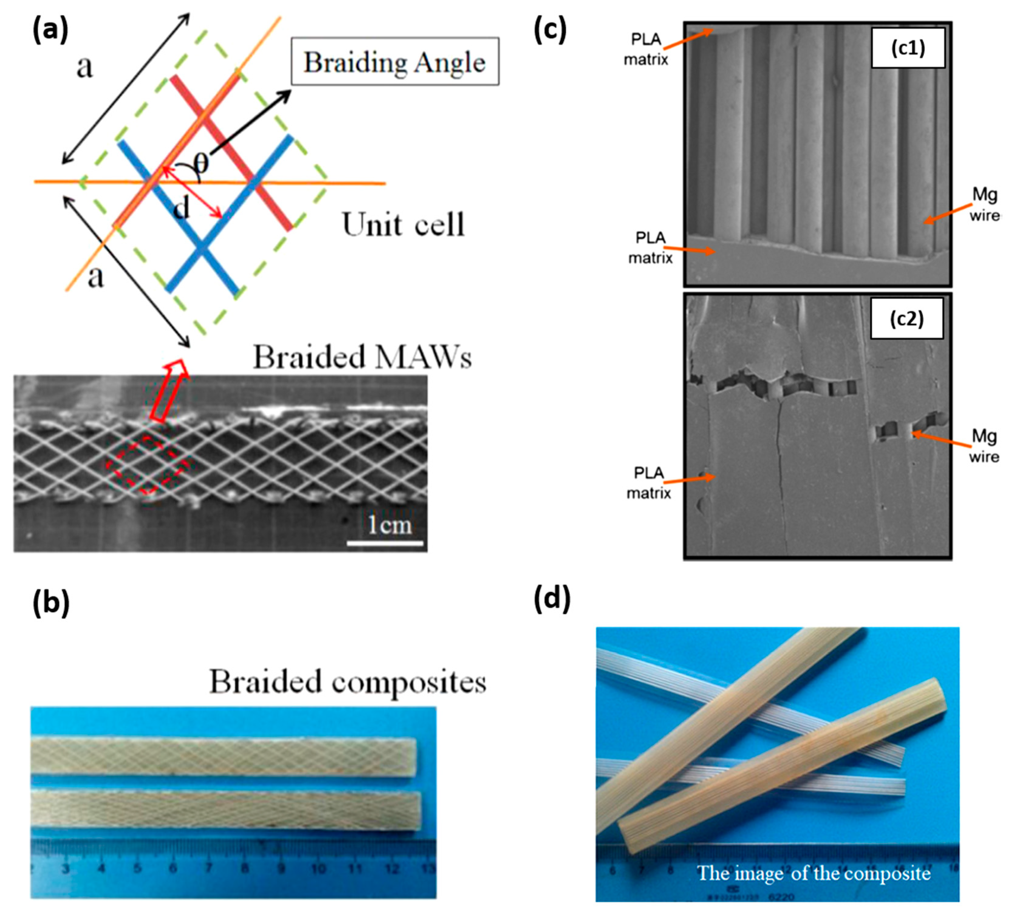 Polymers 15 04667 g005