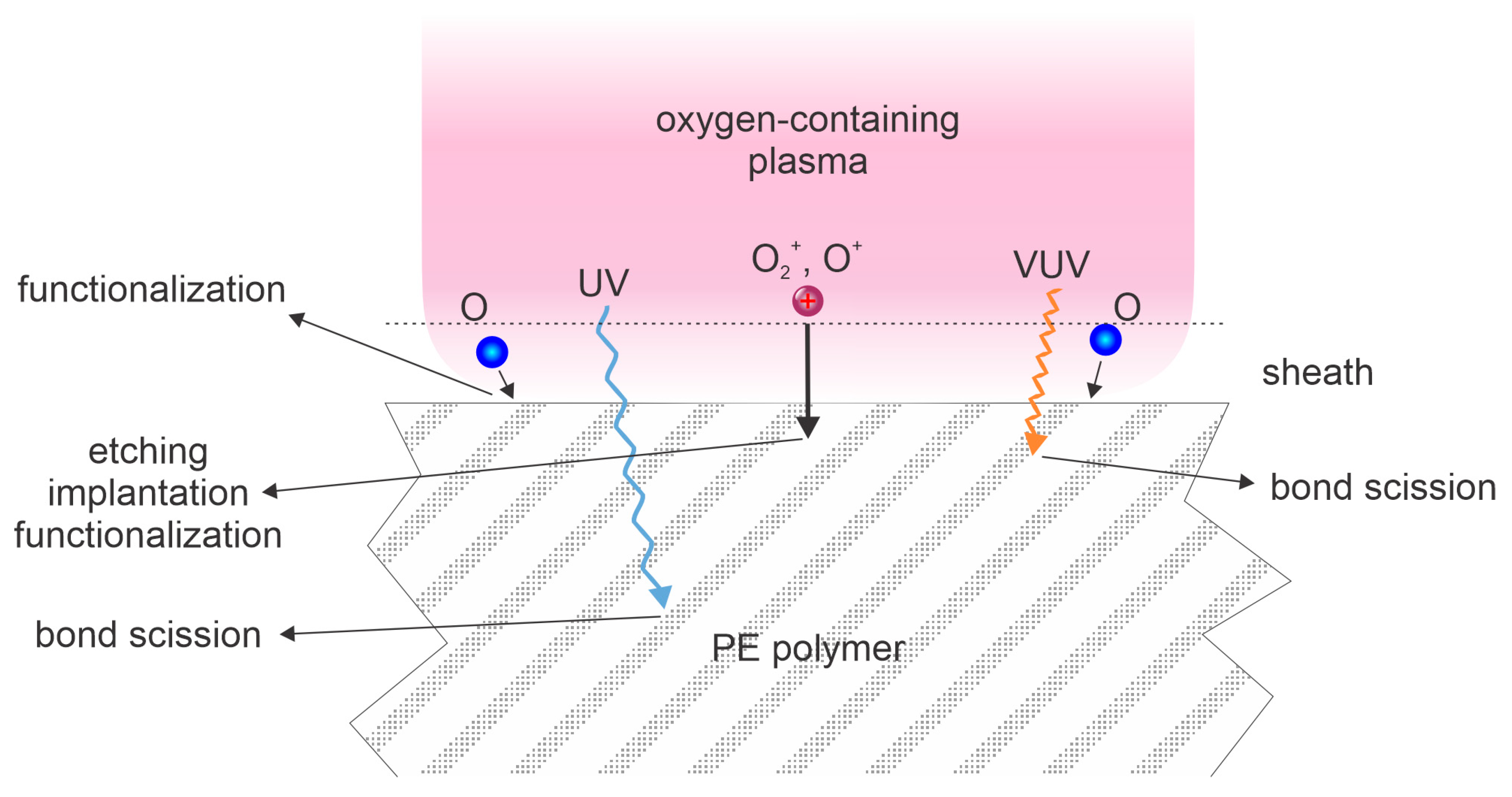 Polymers 15 04668 g001
