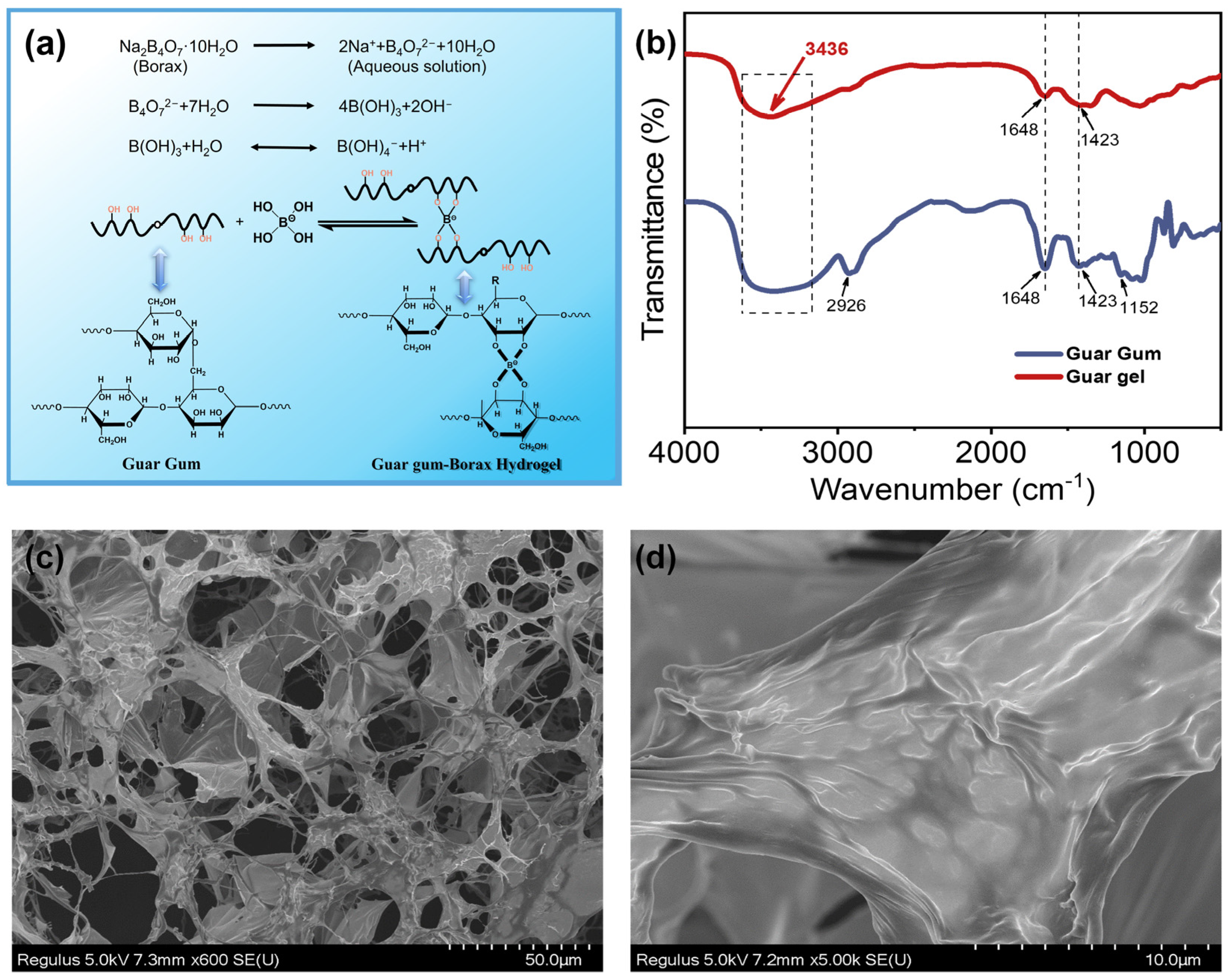 Polymers 15 04669 g001