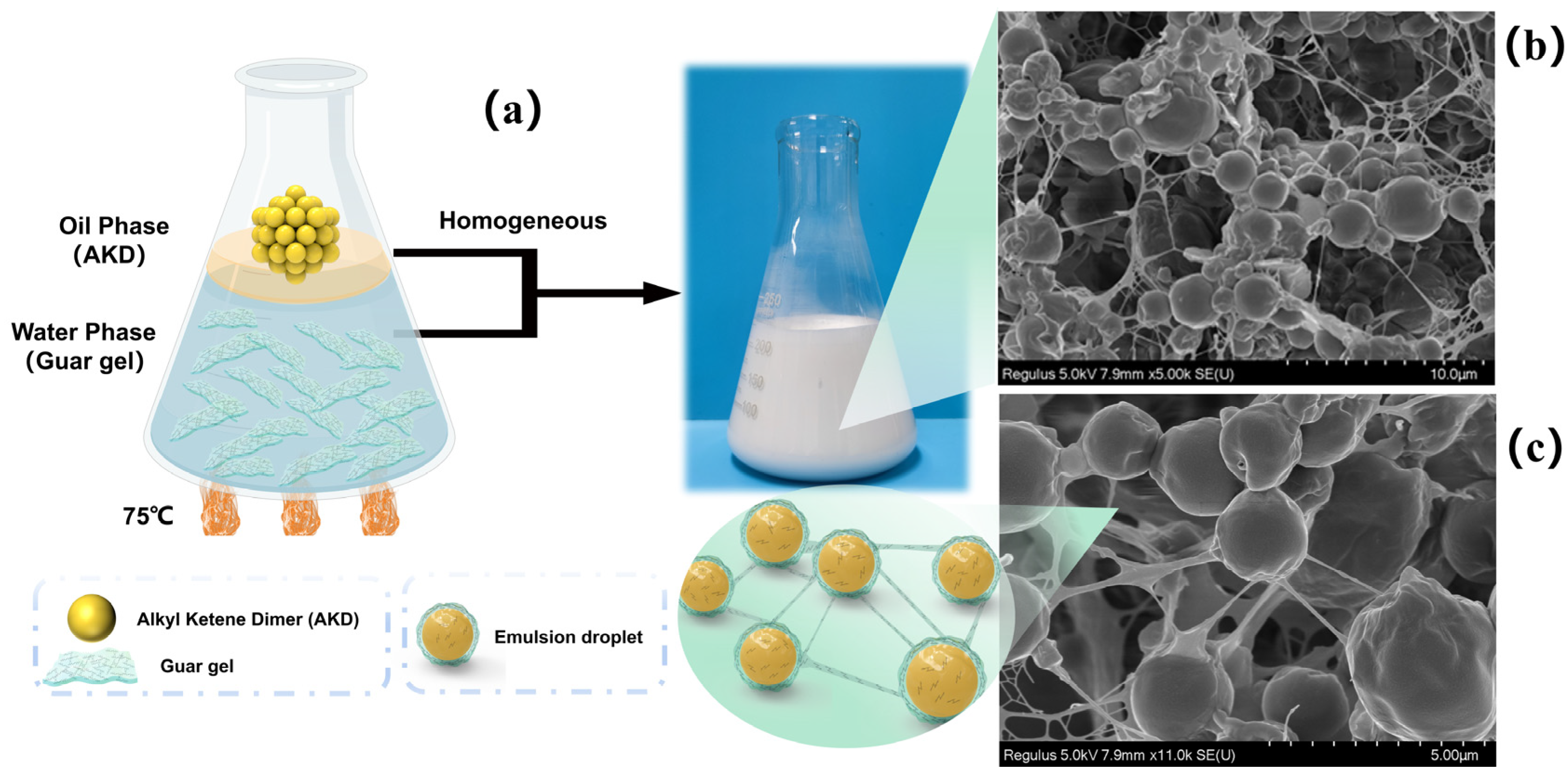 Polymers 15 04669 g005