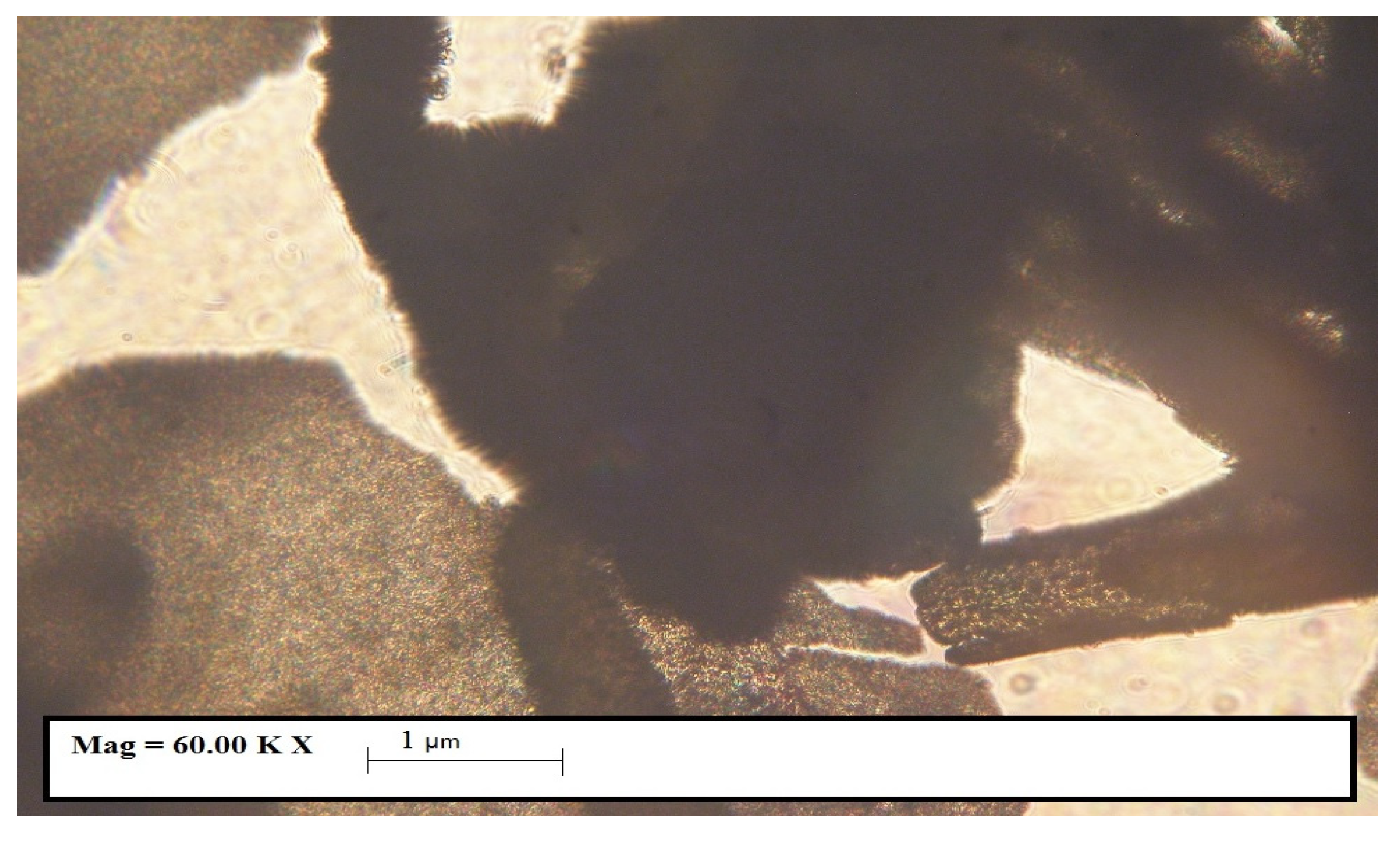 Polymers 15 04673 g003