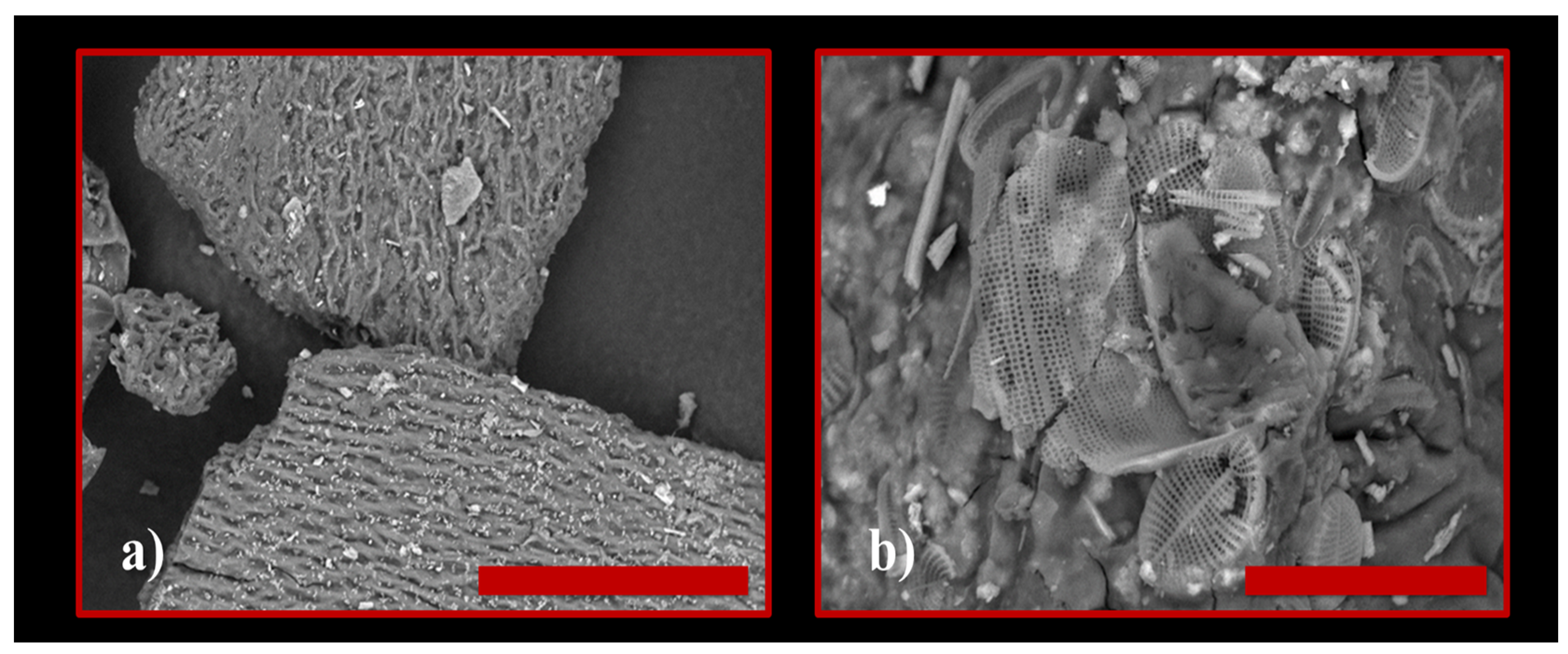 Polymers 15 04673 g004