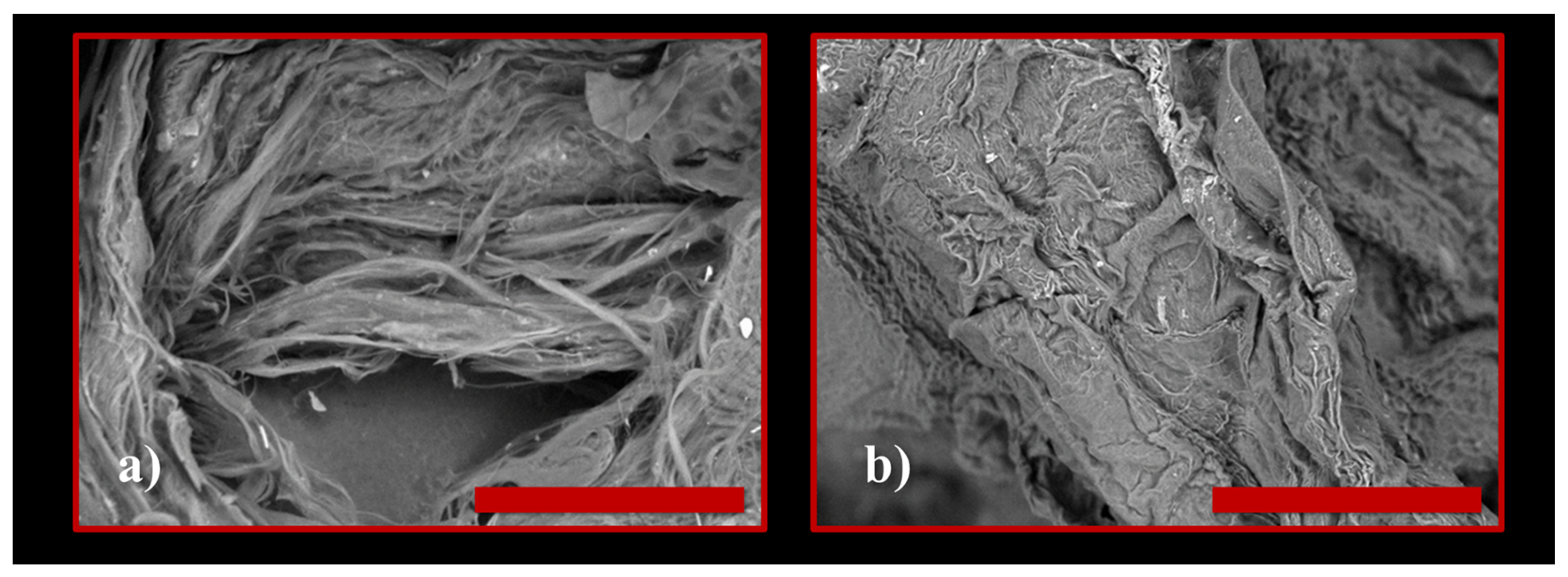 Polymers 15 04673 g006