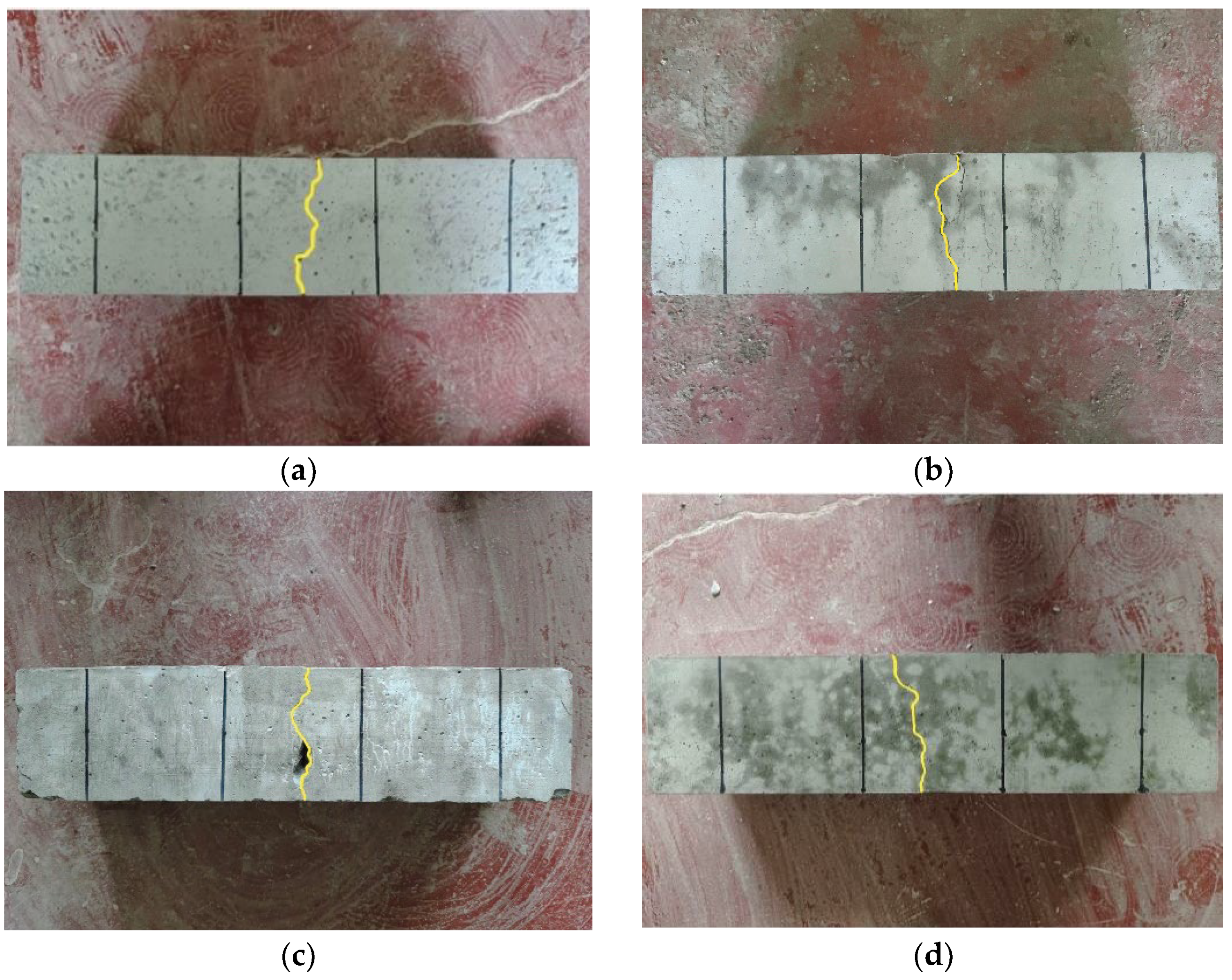 Polymers 15 04675 g008