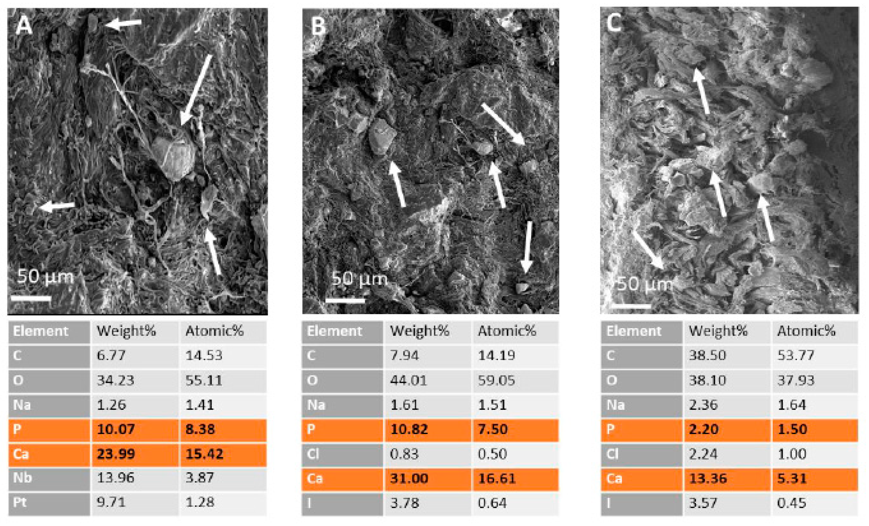 Polymers 15 04676 g007
