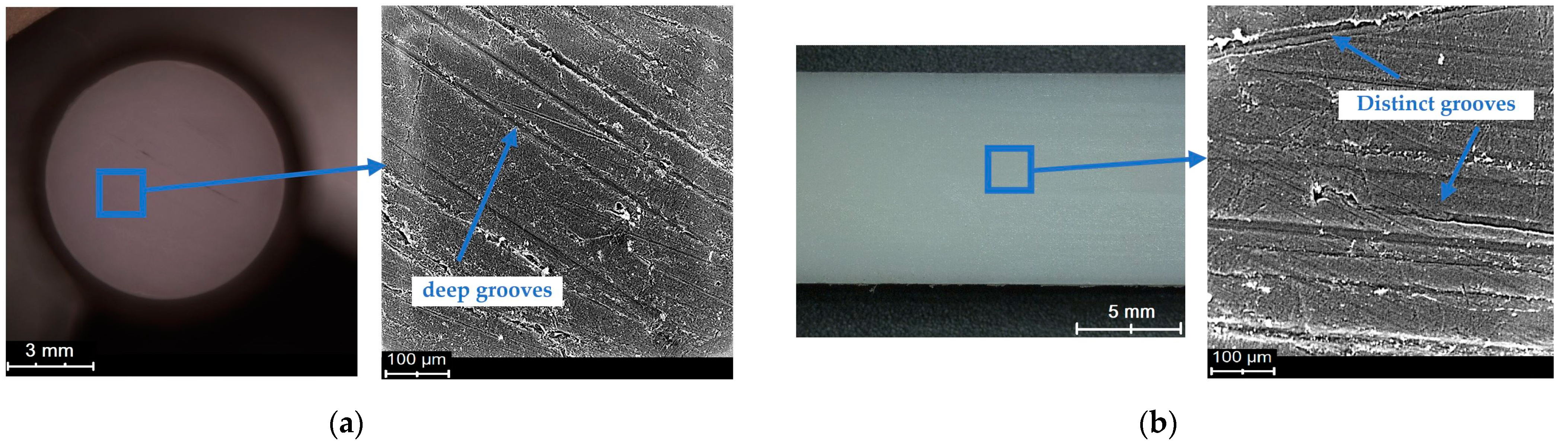 Polymers 15 04696 g007