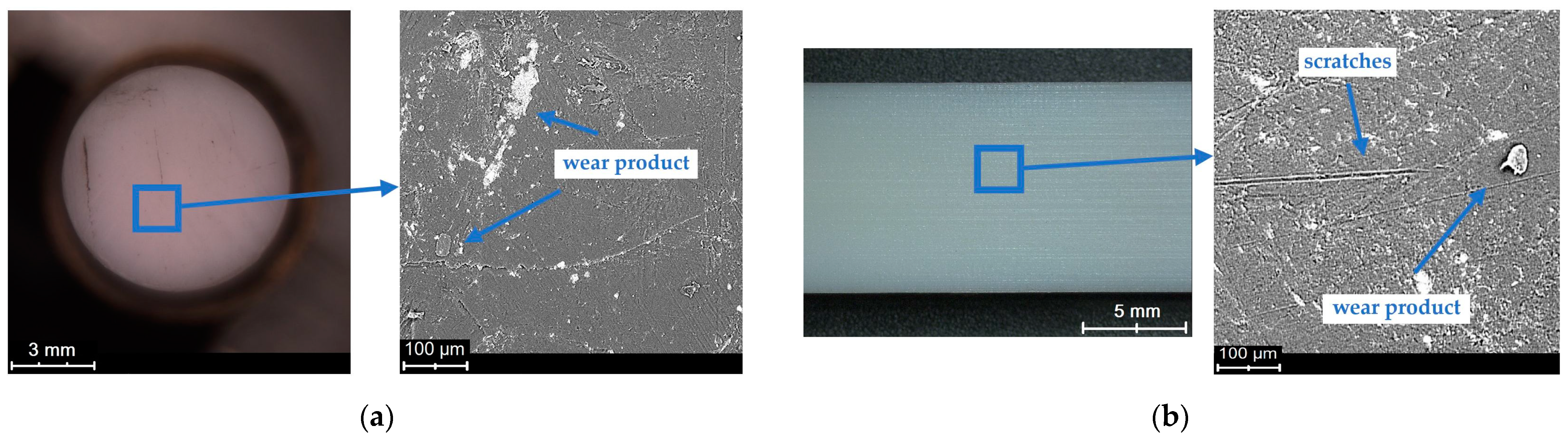 Polymers 15 04696 g008