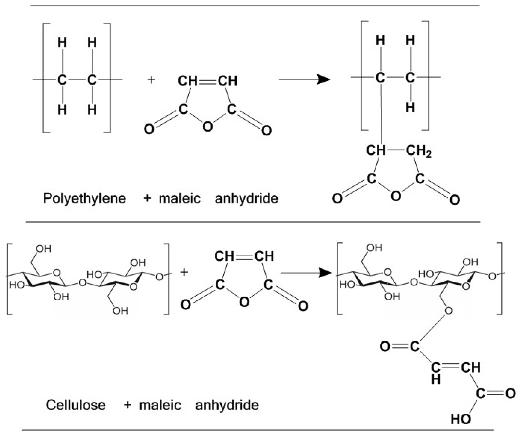Polymers 15 04705 g001