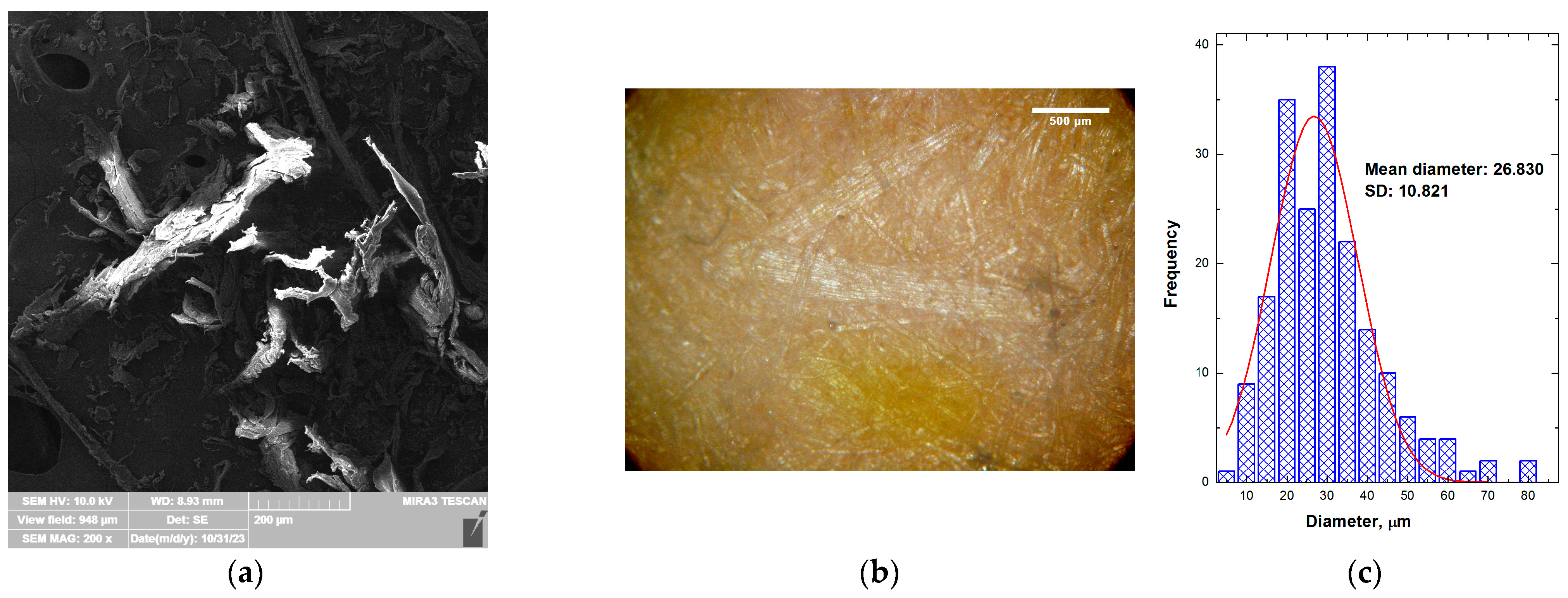 Polymers 15 04705 g008