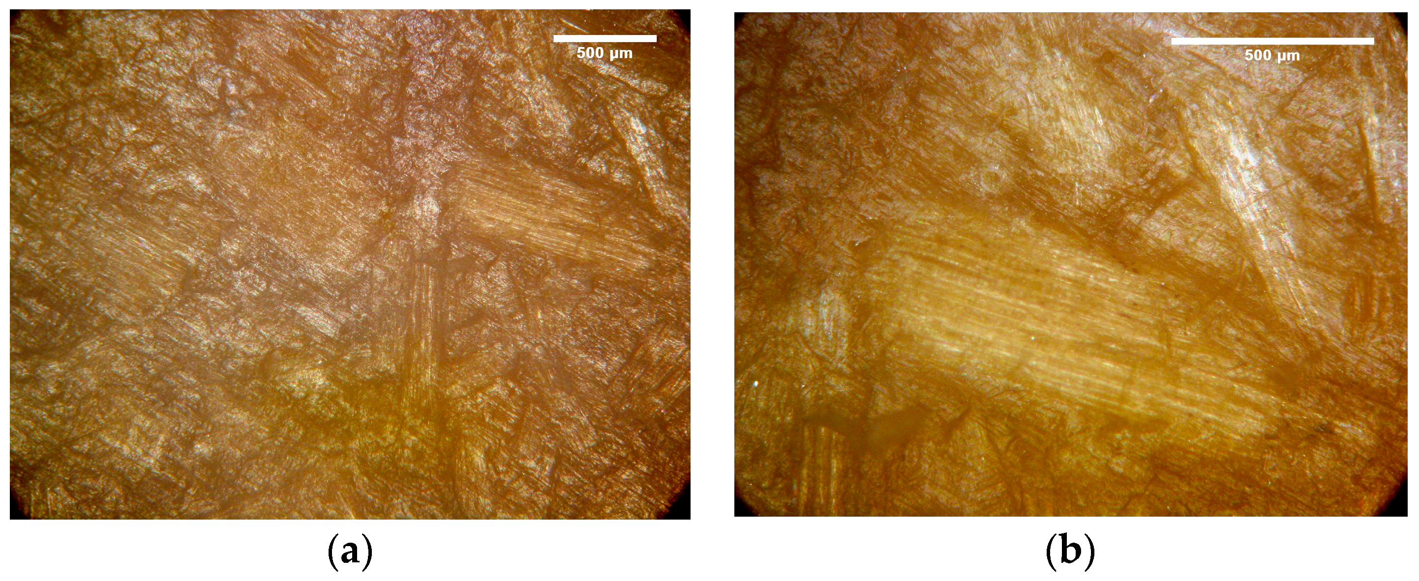Polymers 15 04705 g009