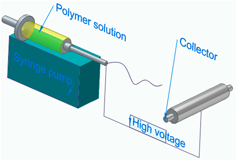 Polymers 16 00002 i010