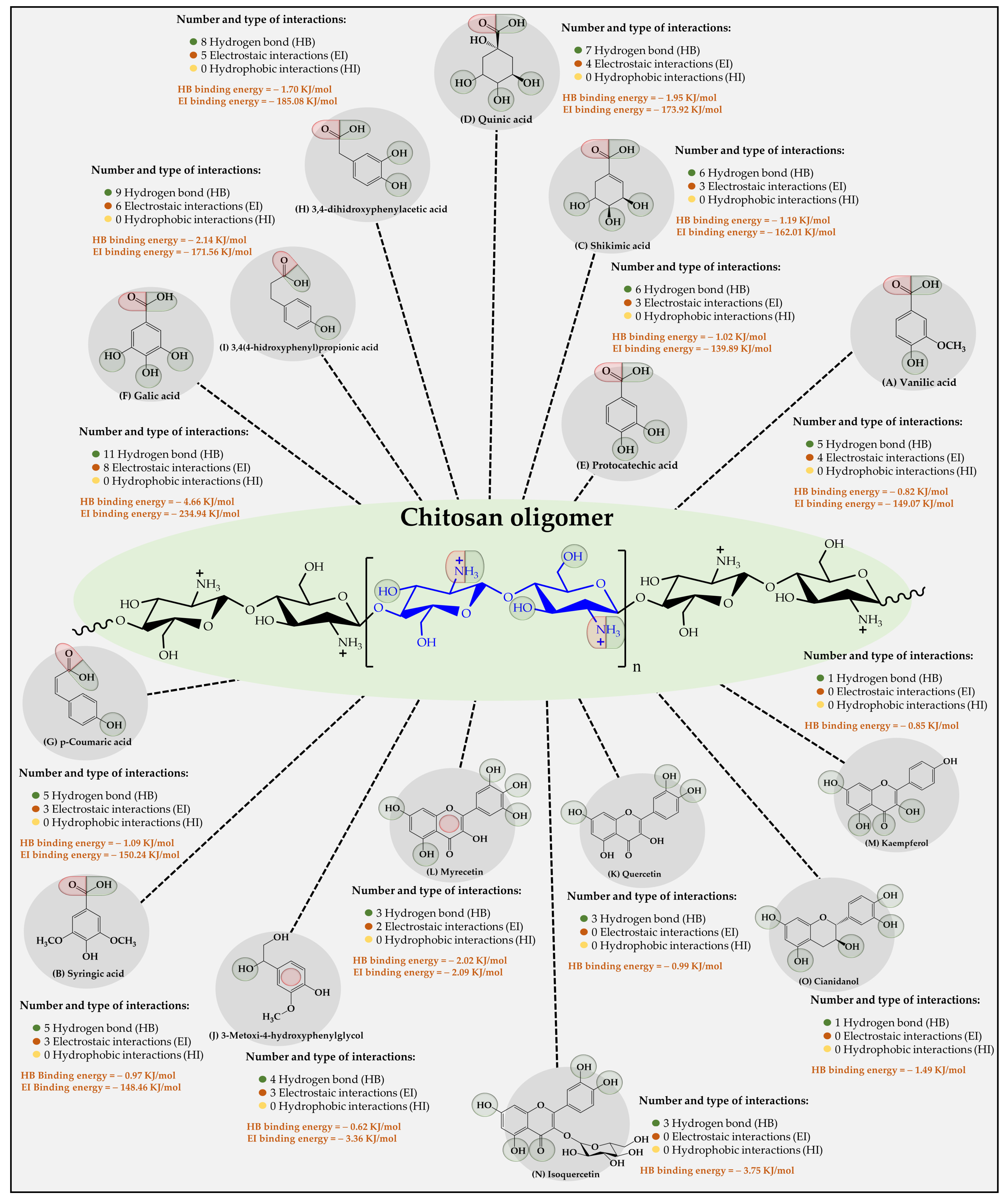 Polymers 16 00011 g006