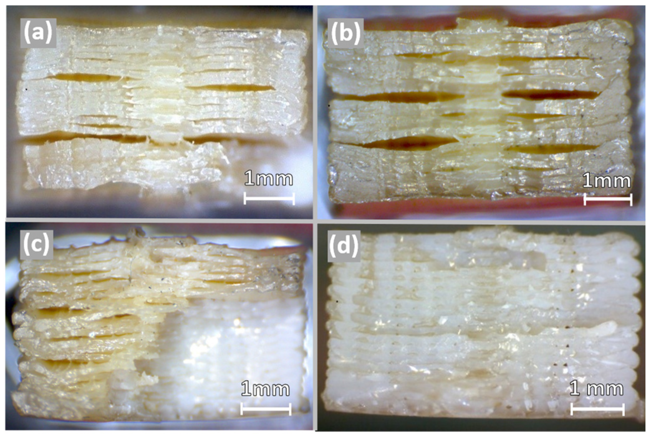 Polymers 16 00018 g009