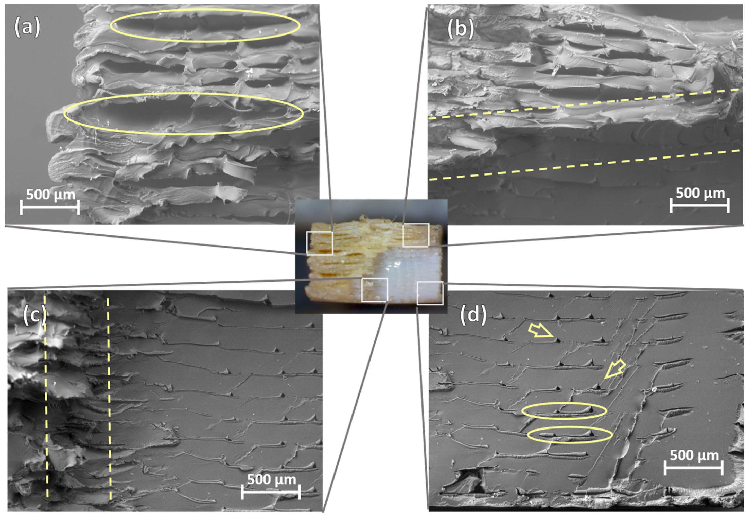 Polymers 16 00018 g010
