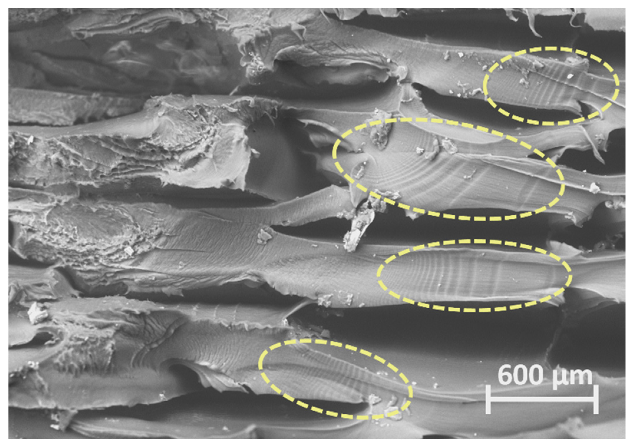 Polymers 16 00018 g011