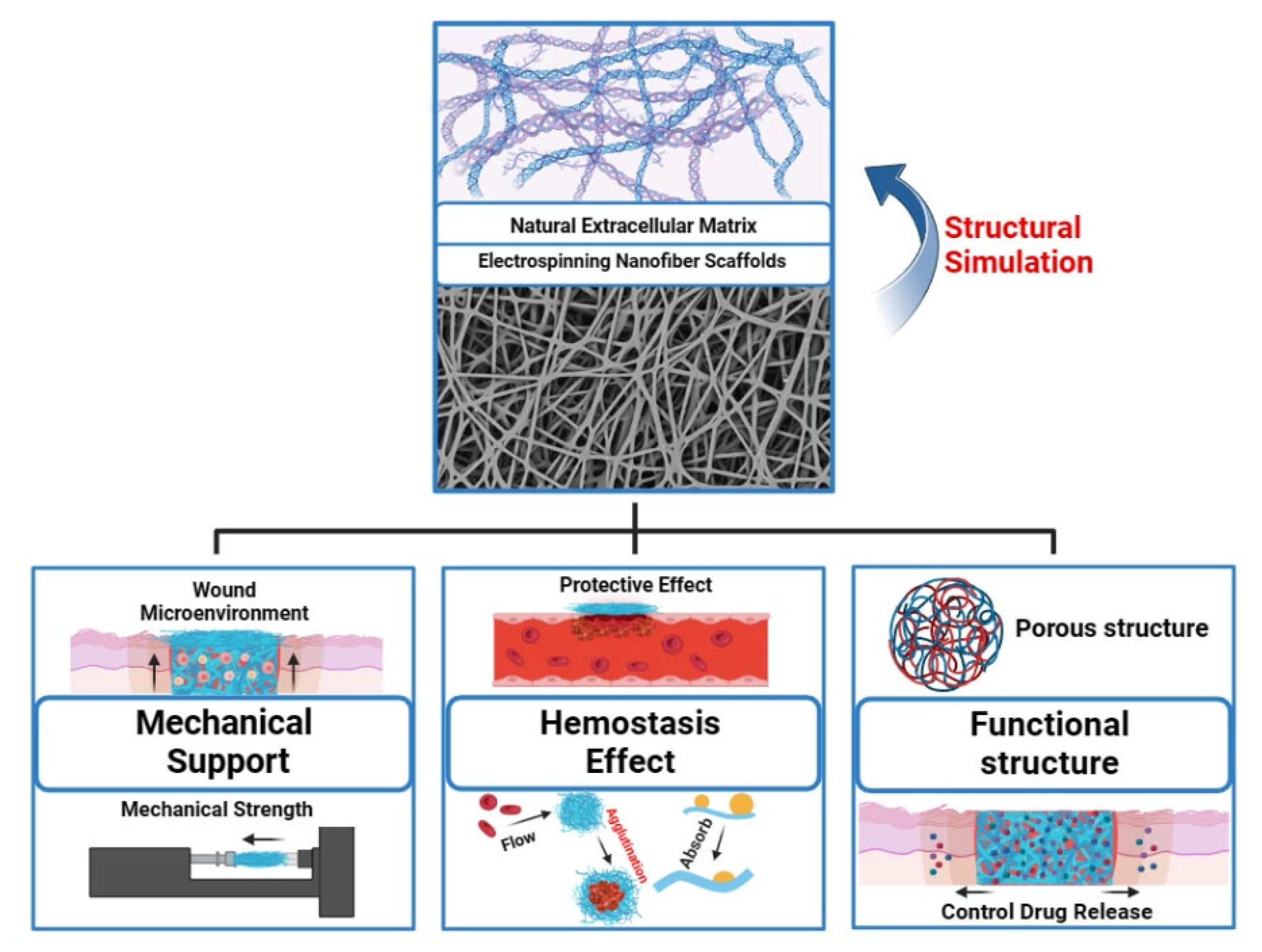 Polymers 16 00024 g002