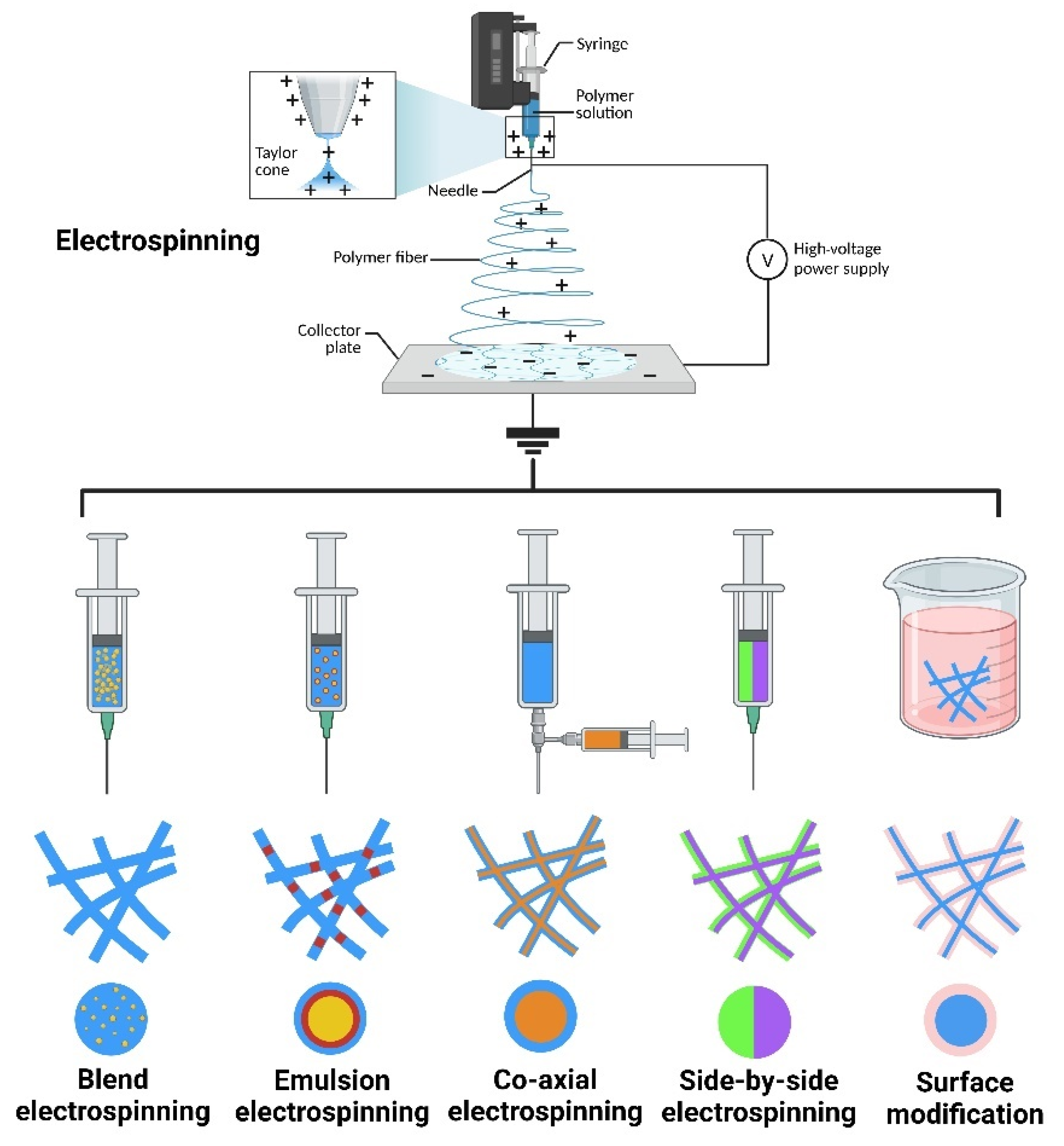Polymers 16 00024 g003