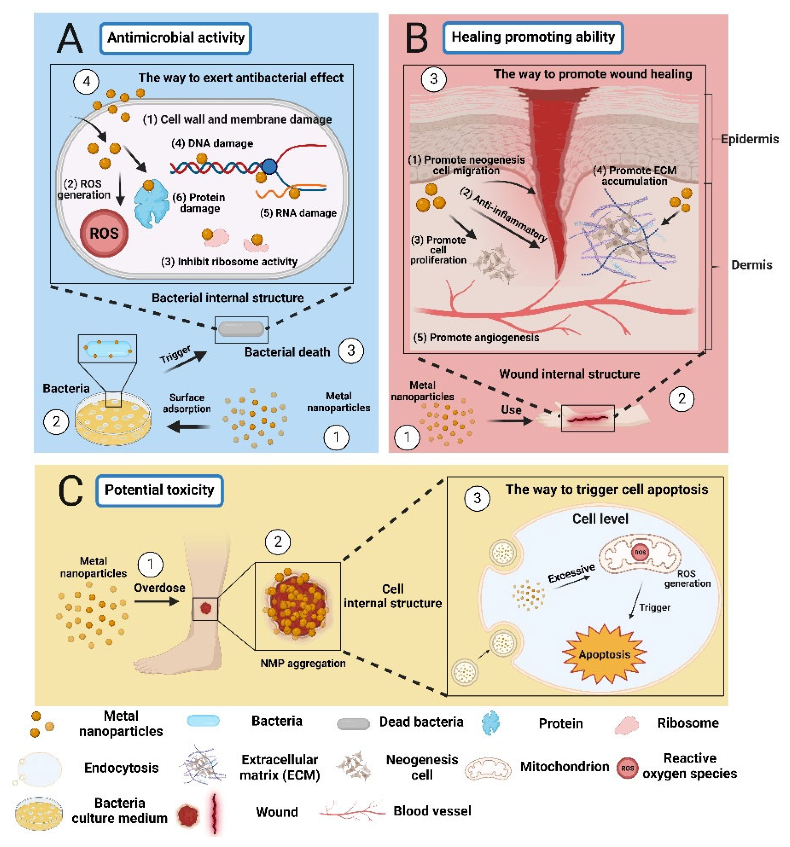 Polymers 16 00024 g004