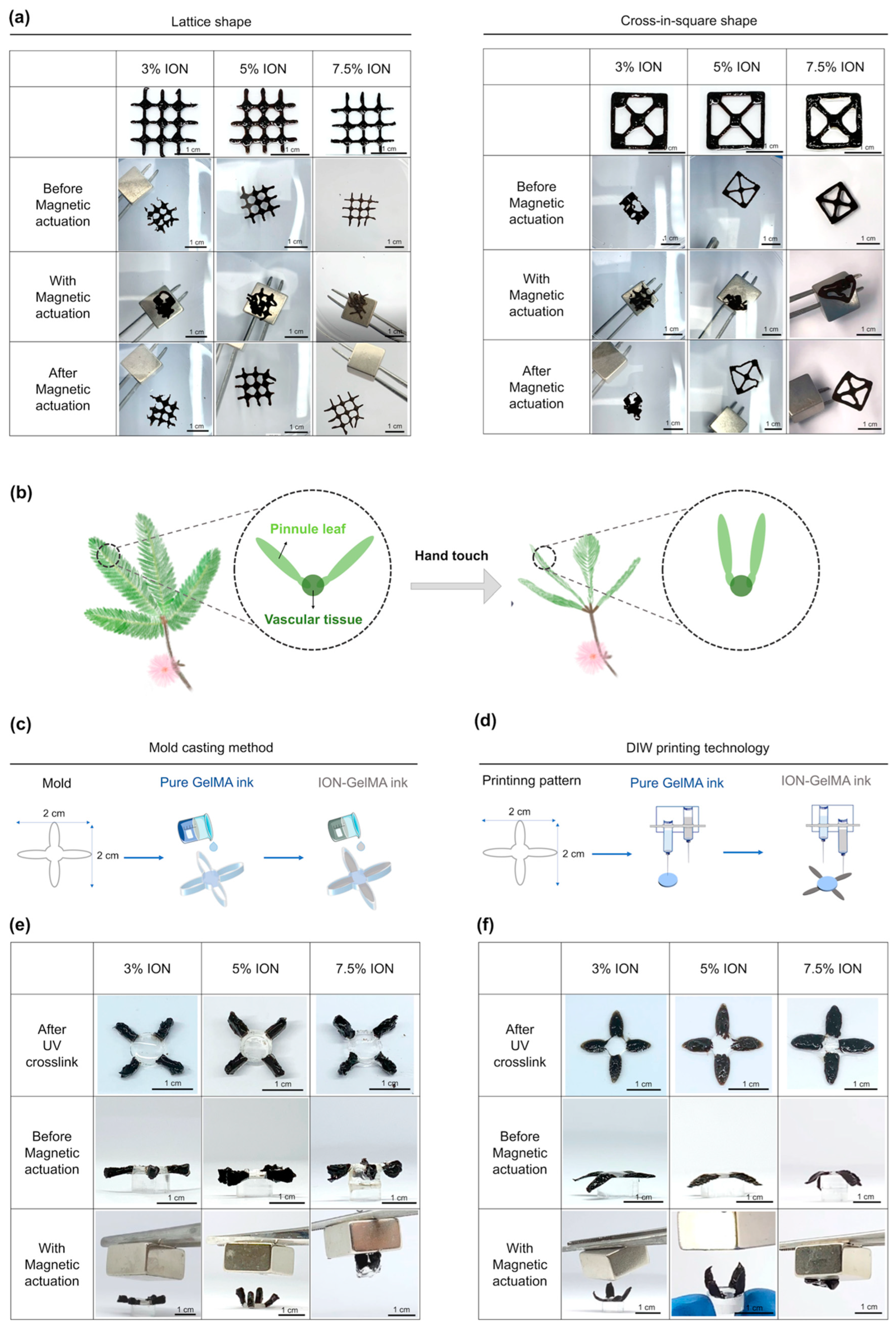 Polymers 16 00025 g005